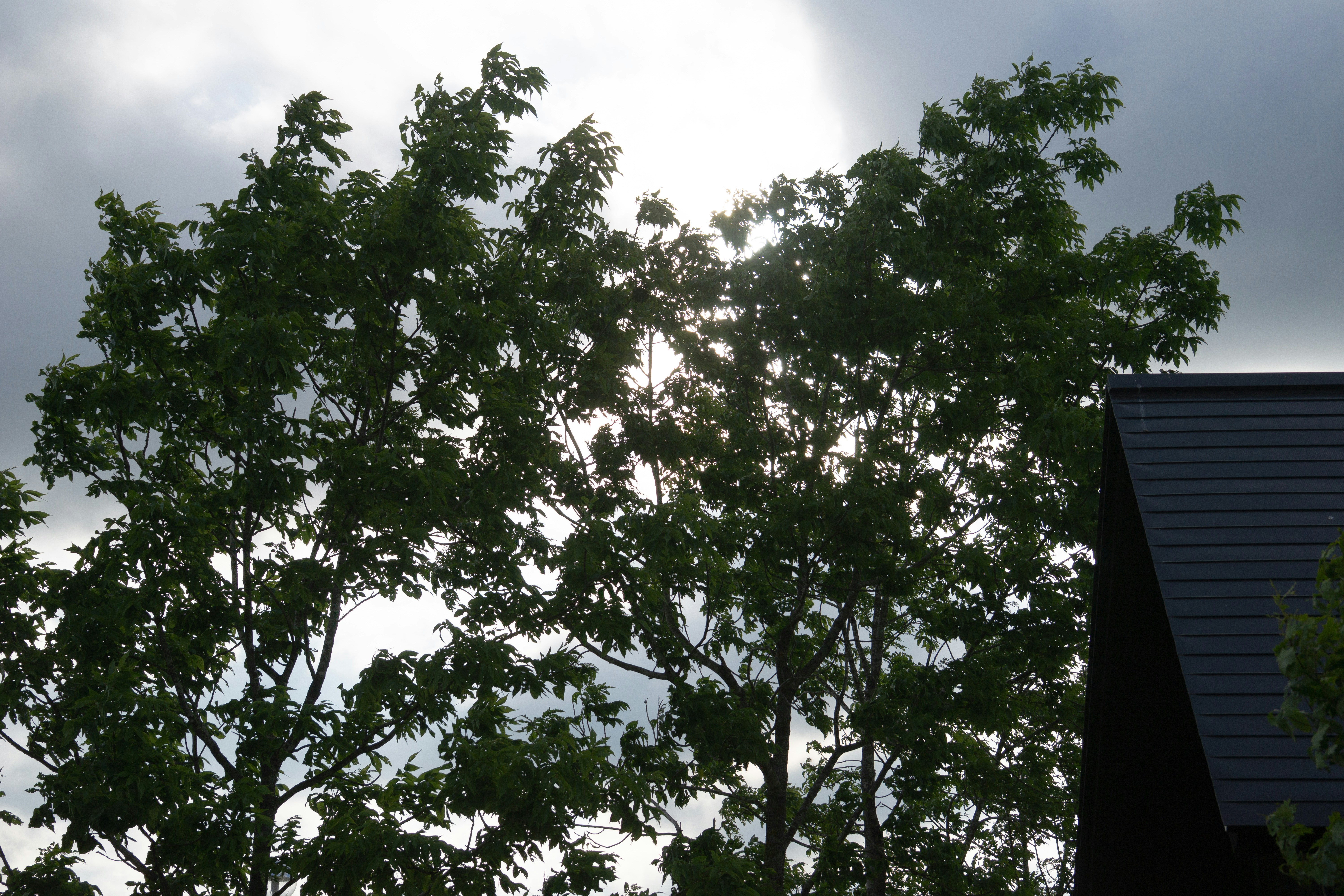 Photo by da_shika_photo