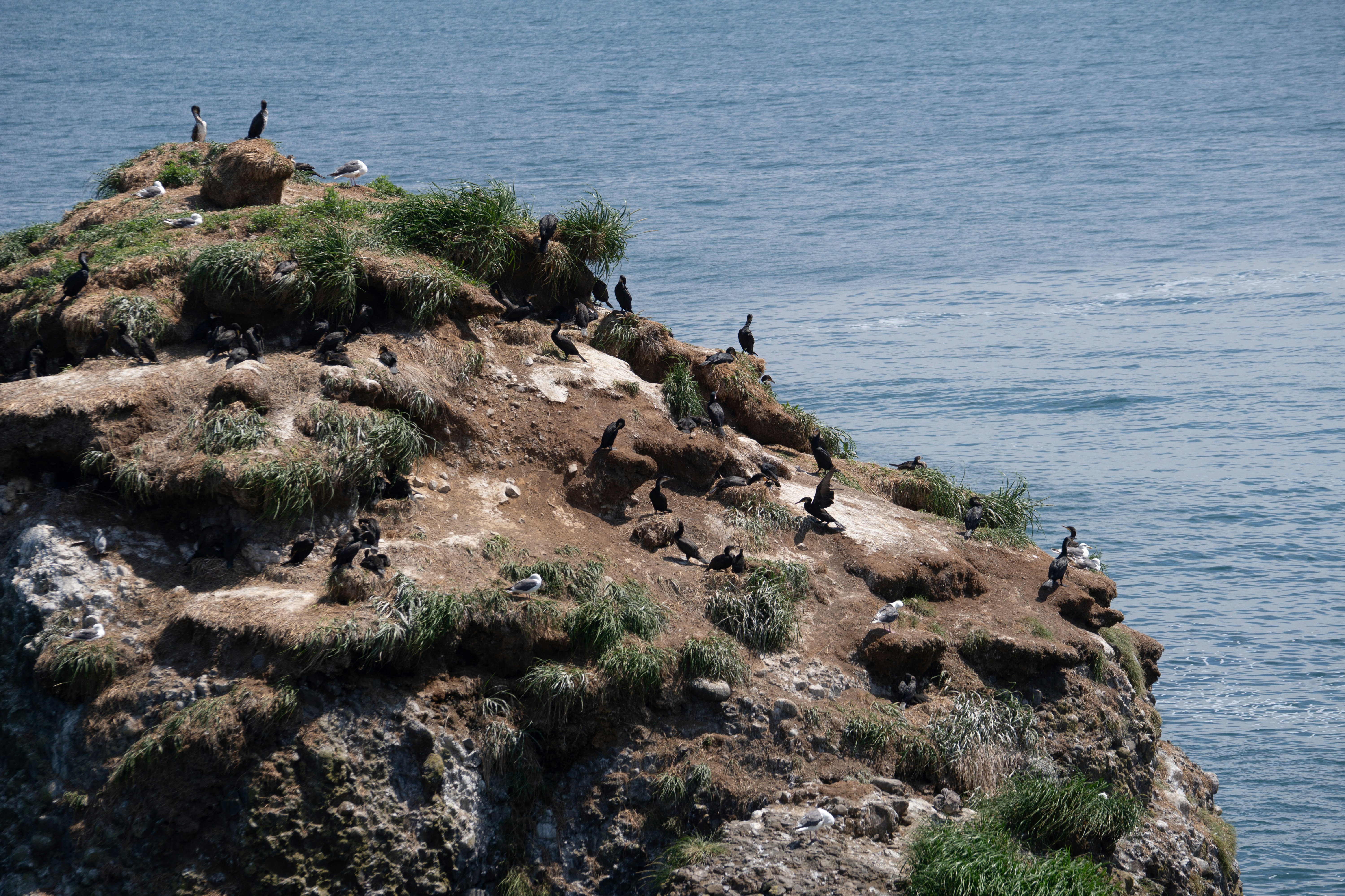 Photo by da_shika_photo