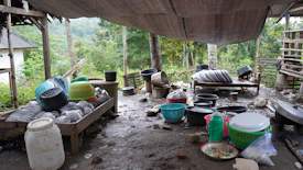 A cluttered outdoor space is visible.