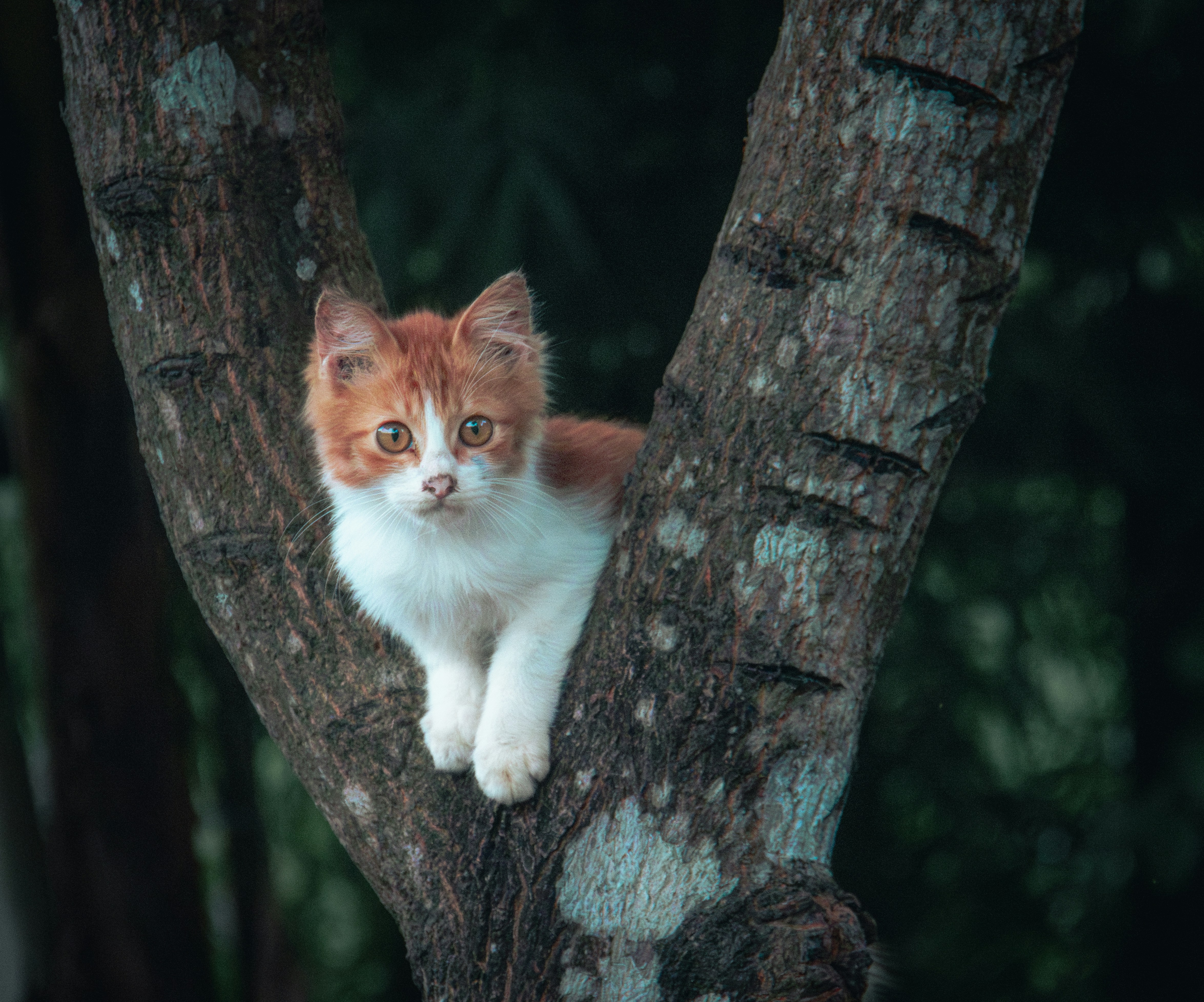 Photo by vanderlustjourney