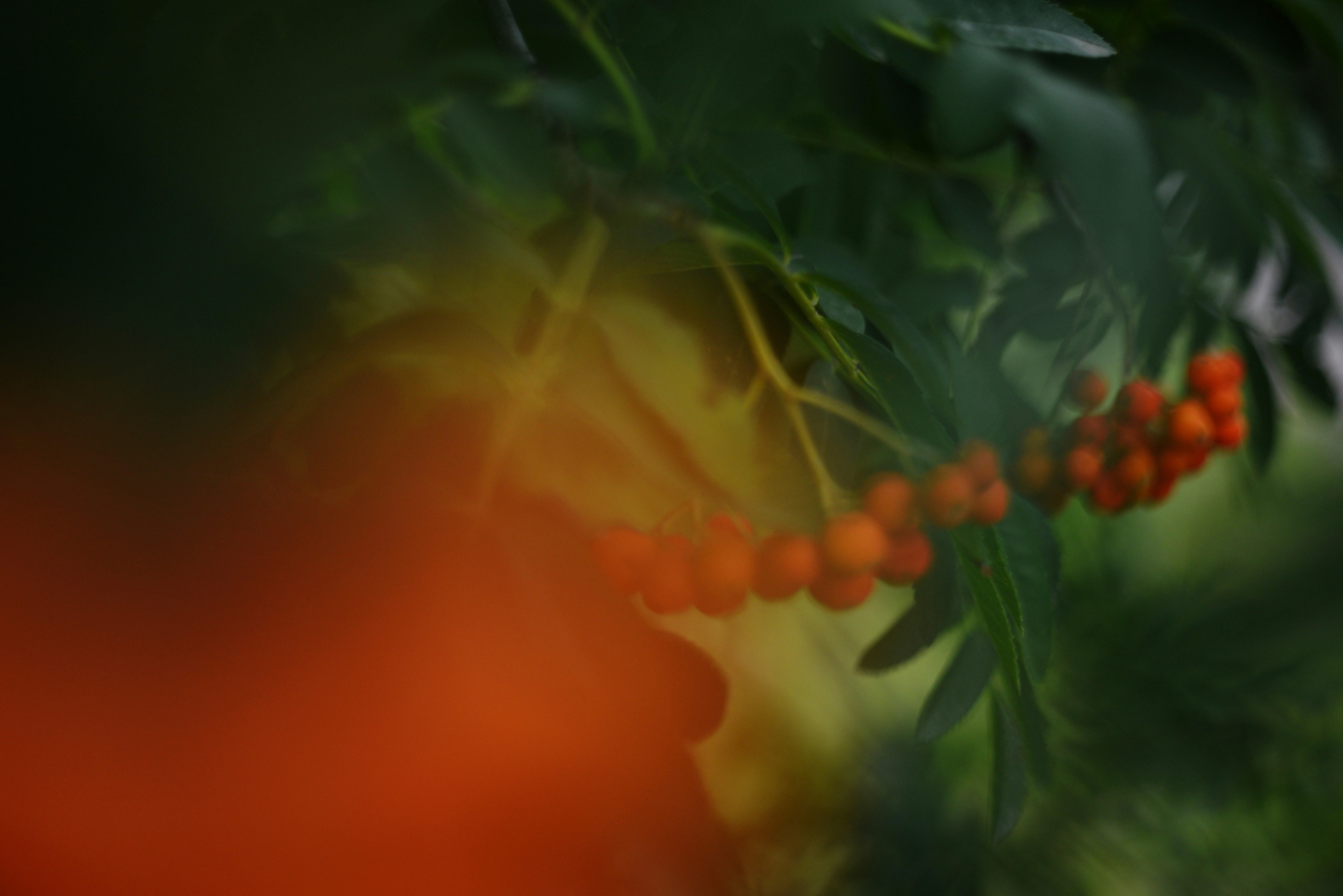 Photo by cherstve_pechivo