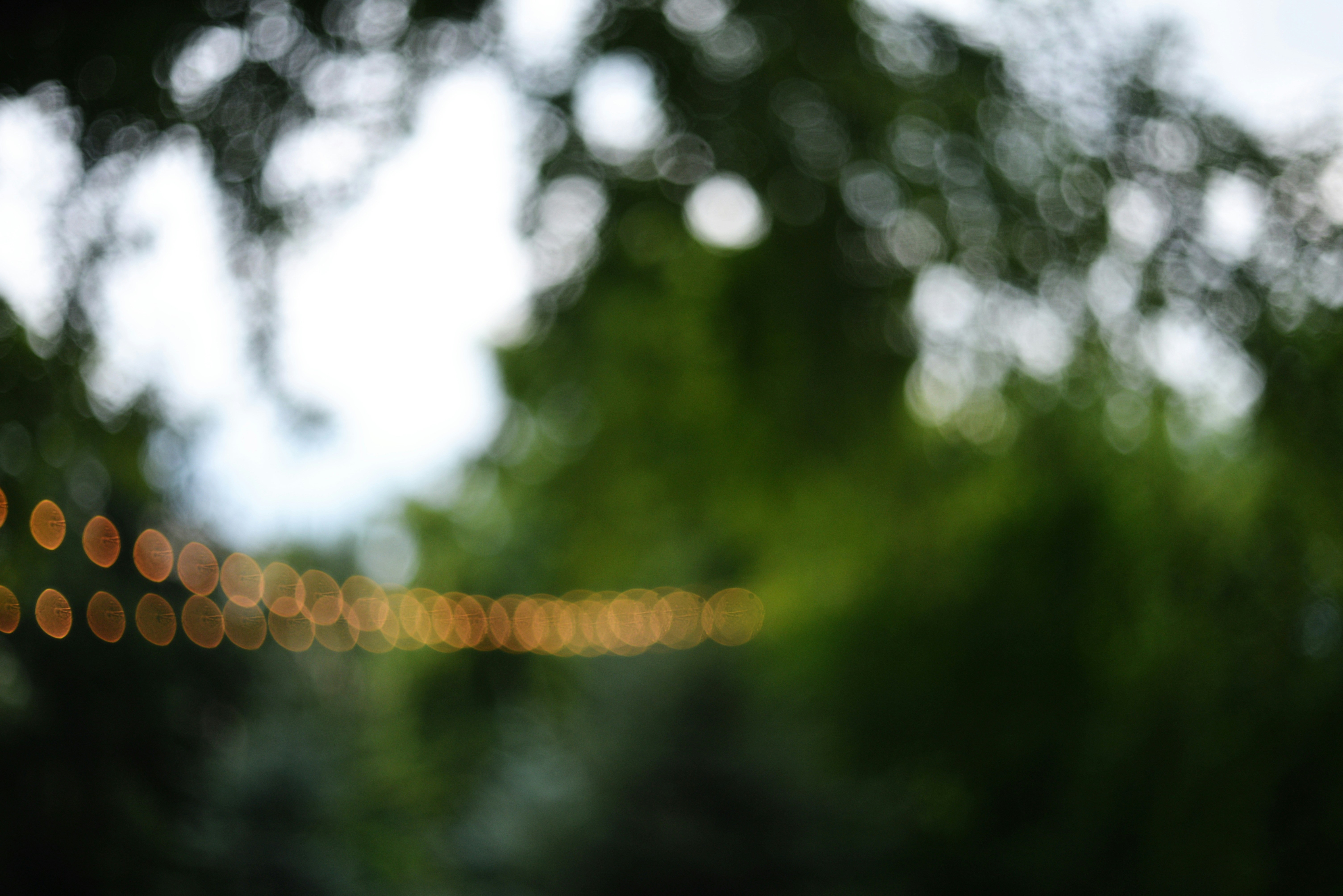 Photo by cherstve_pechivo