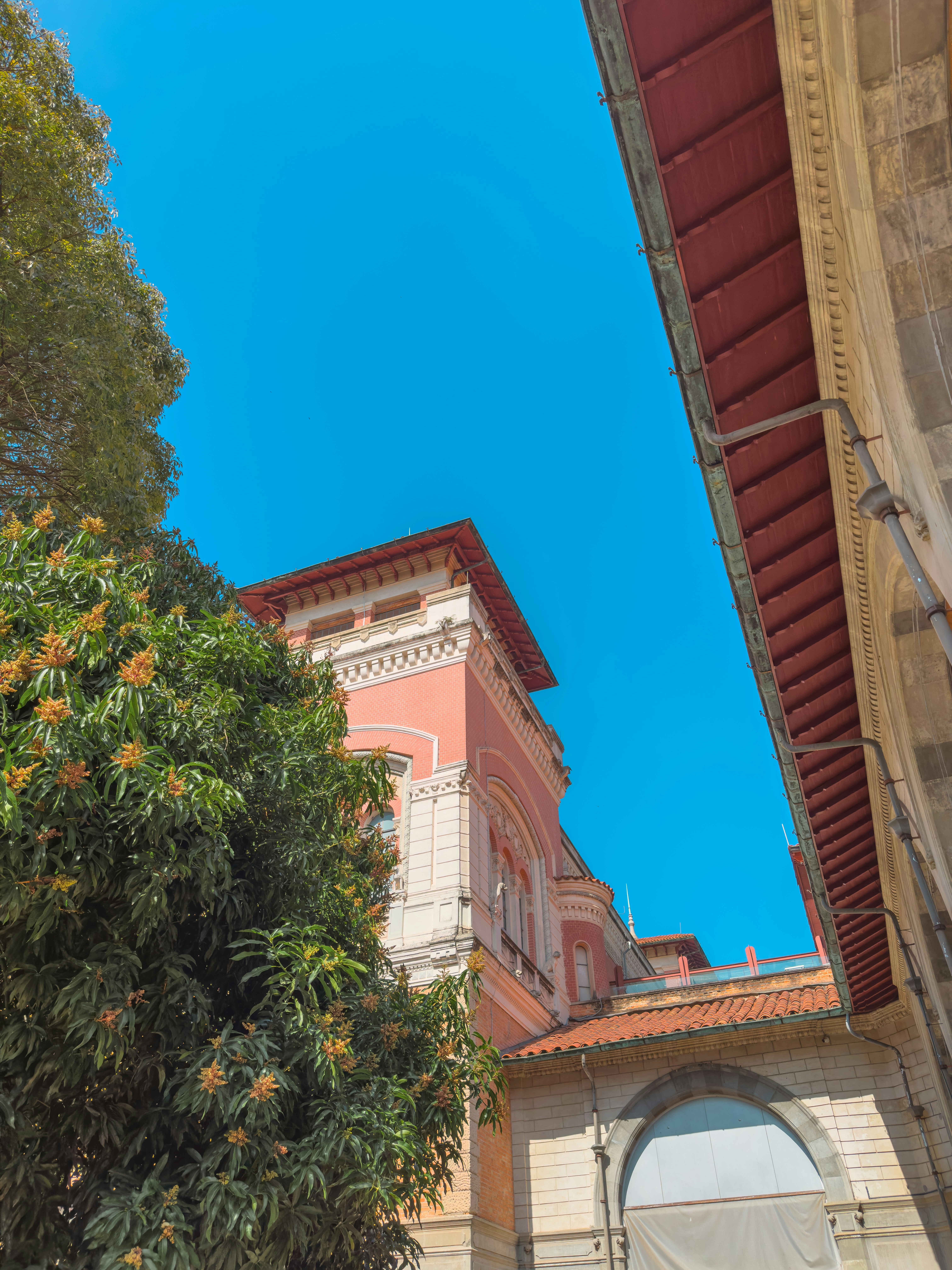 Photo by silvana_carlos