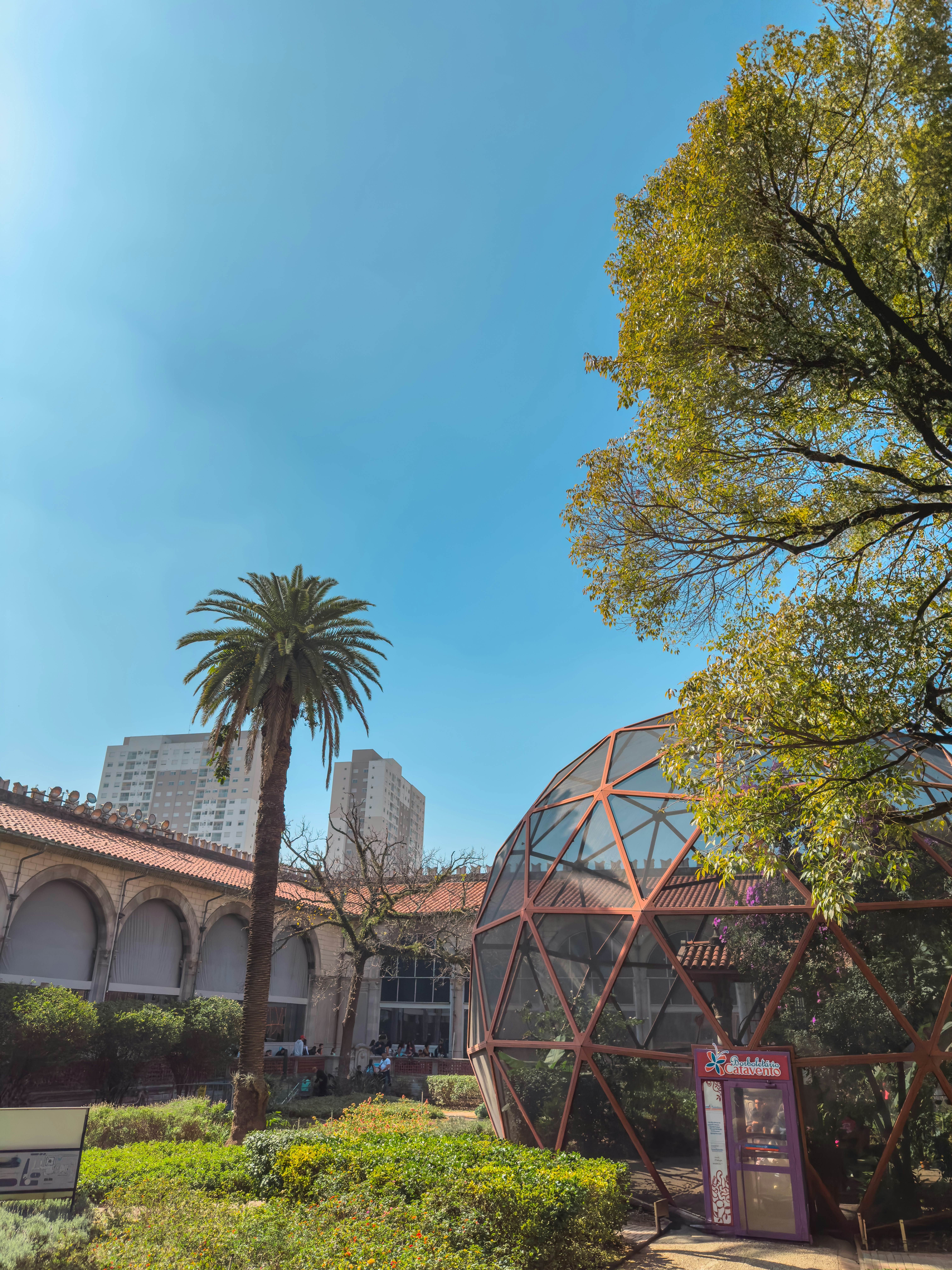 Sunny day at the botanical garden.
