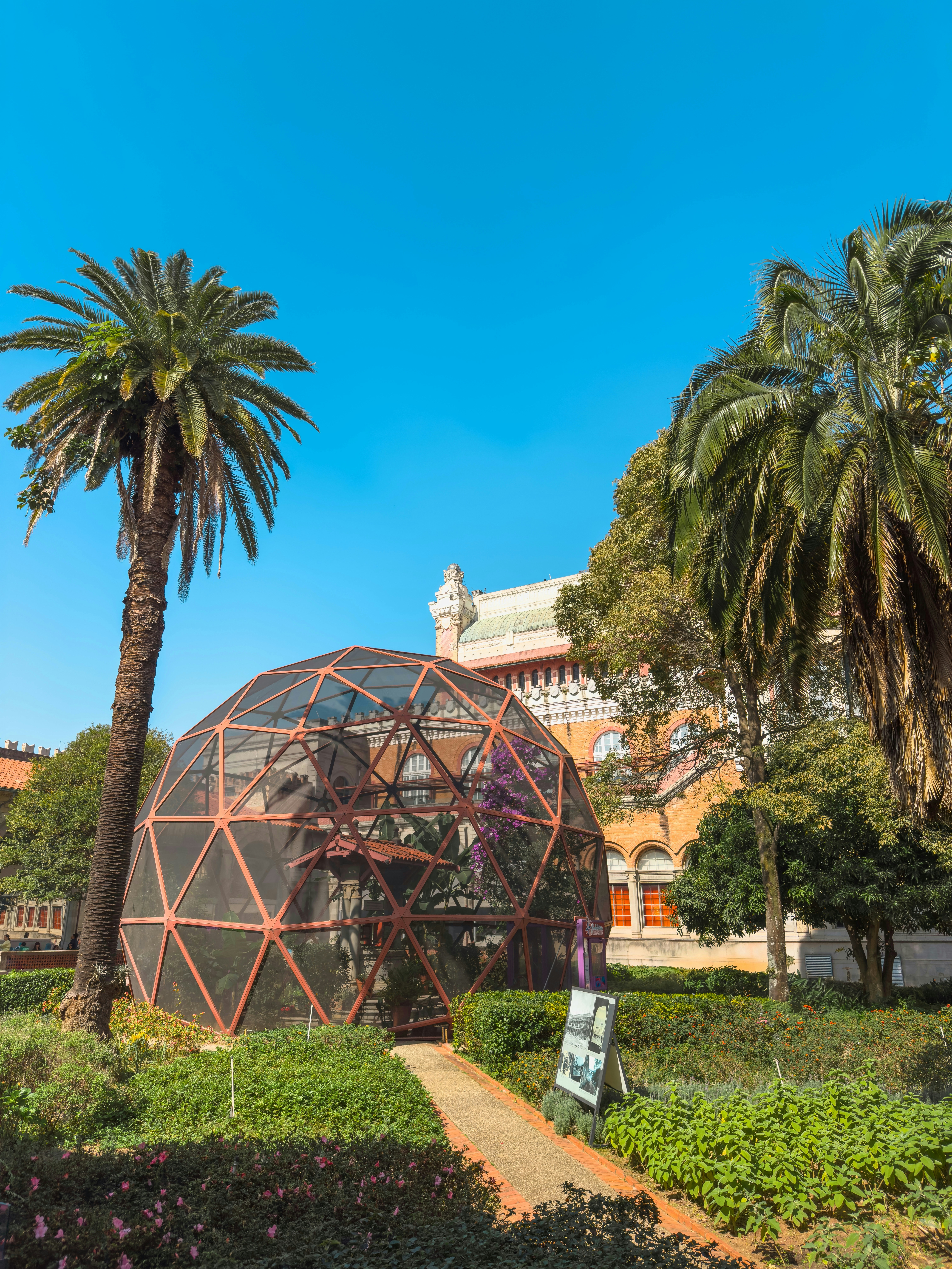 A greenhouse sits amongst palm trees on a sunny day.