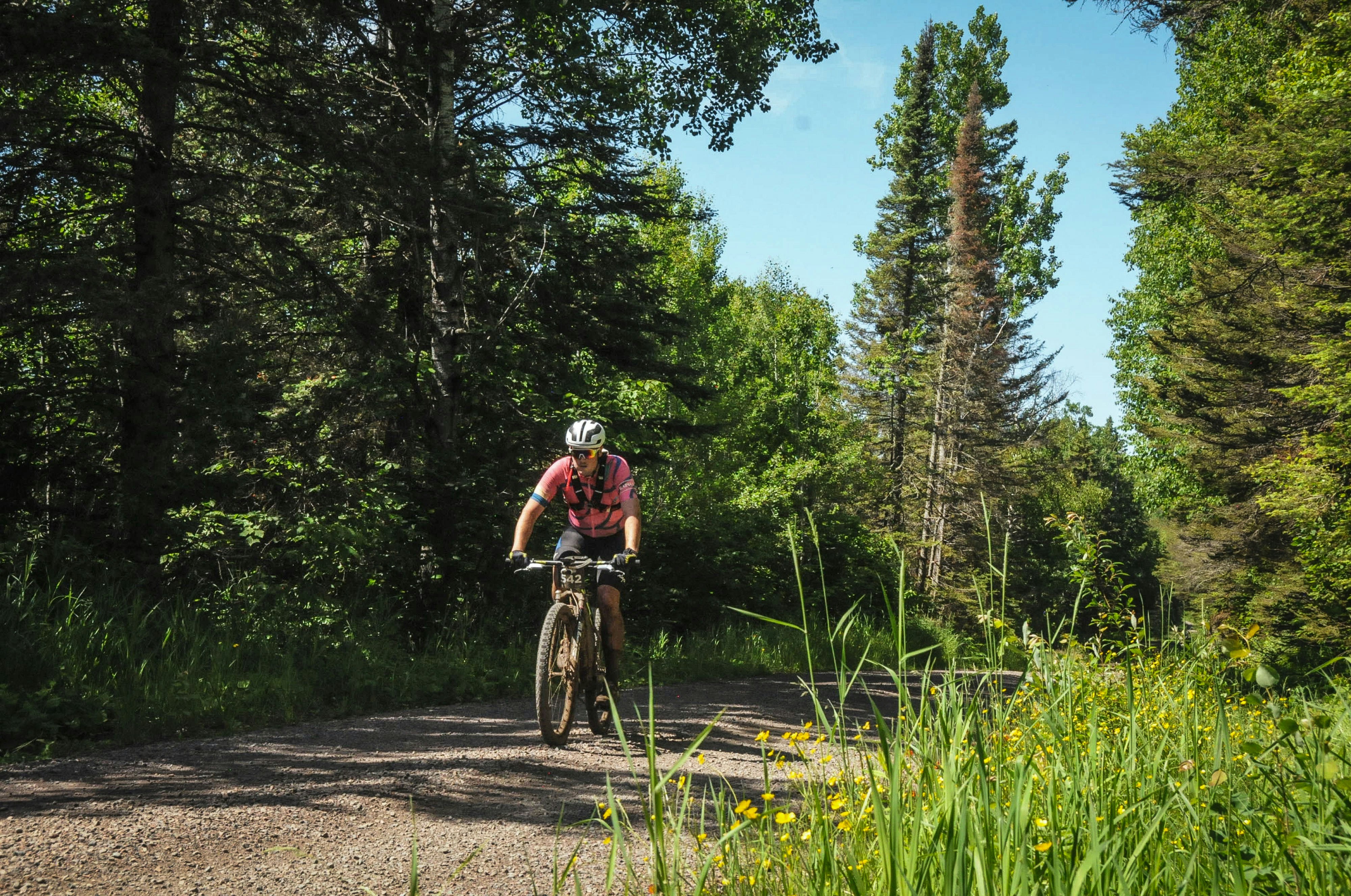 A cyclist rides through a forested trail.