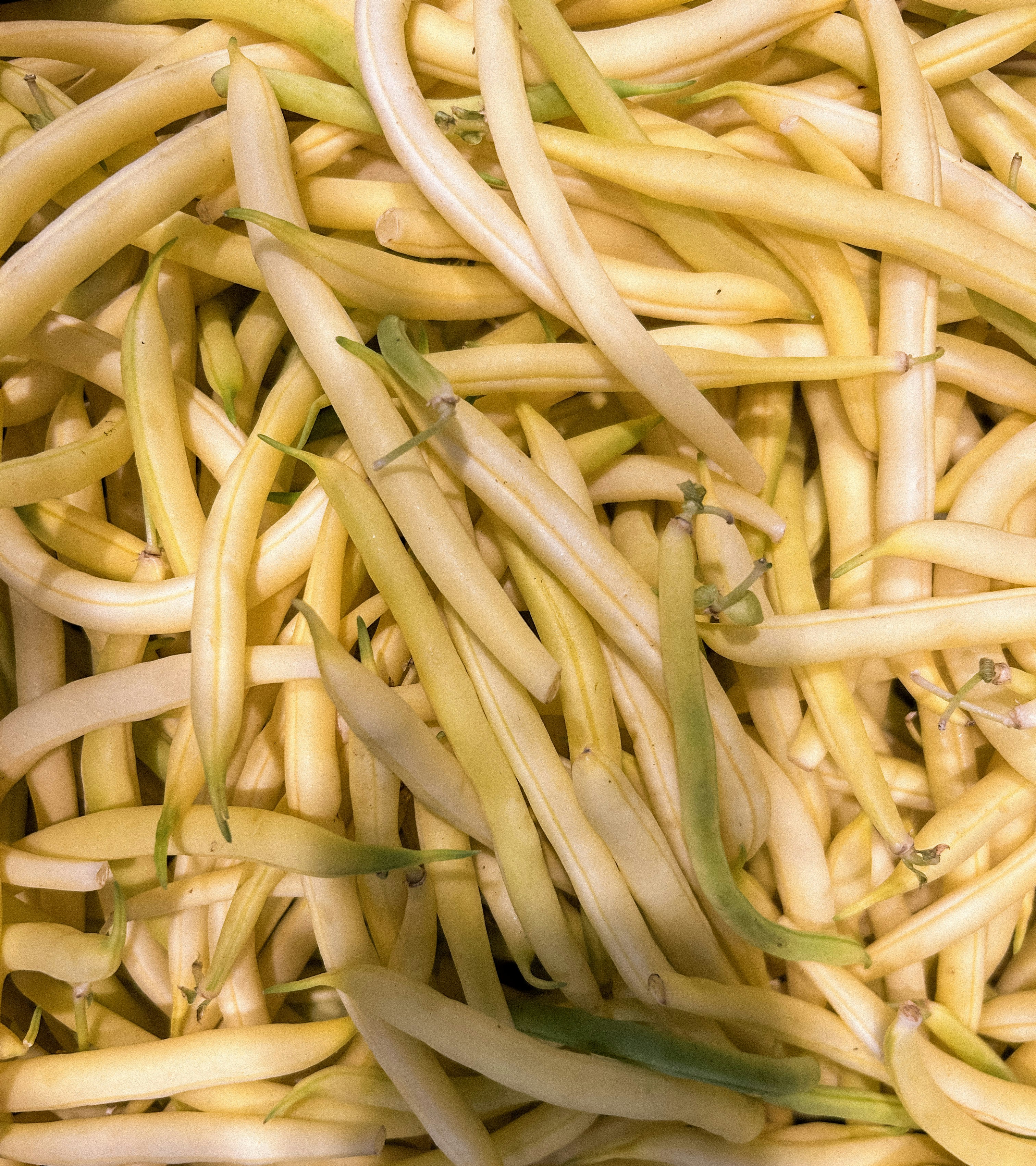 Photo by sayspoorthi