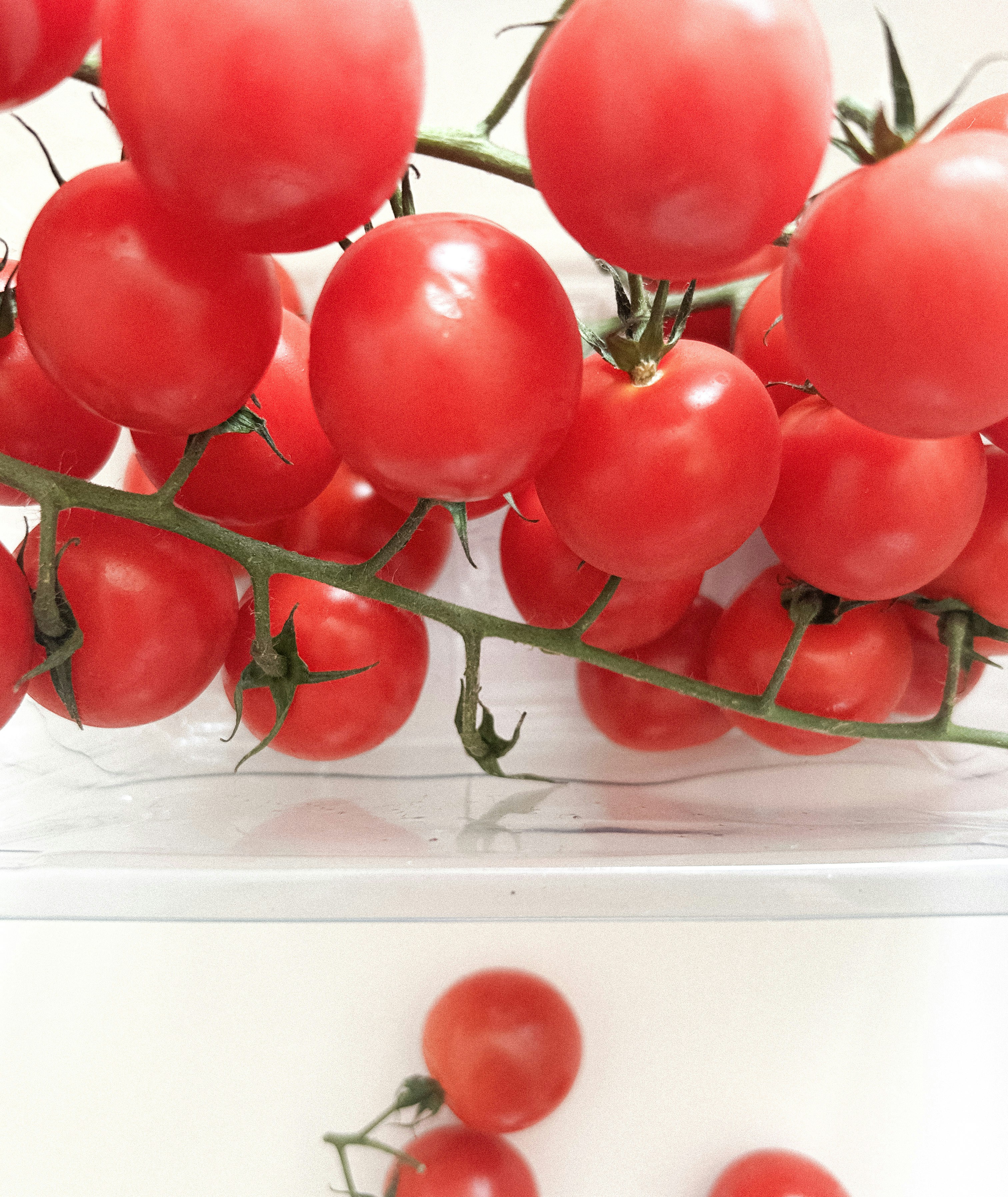 Photo by sayspoorthi