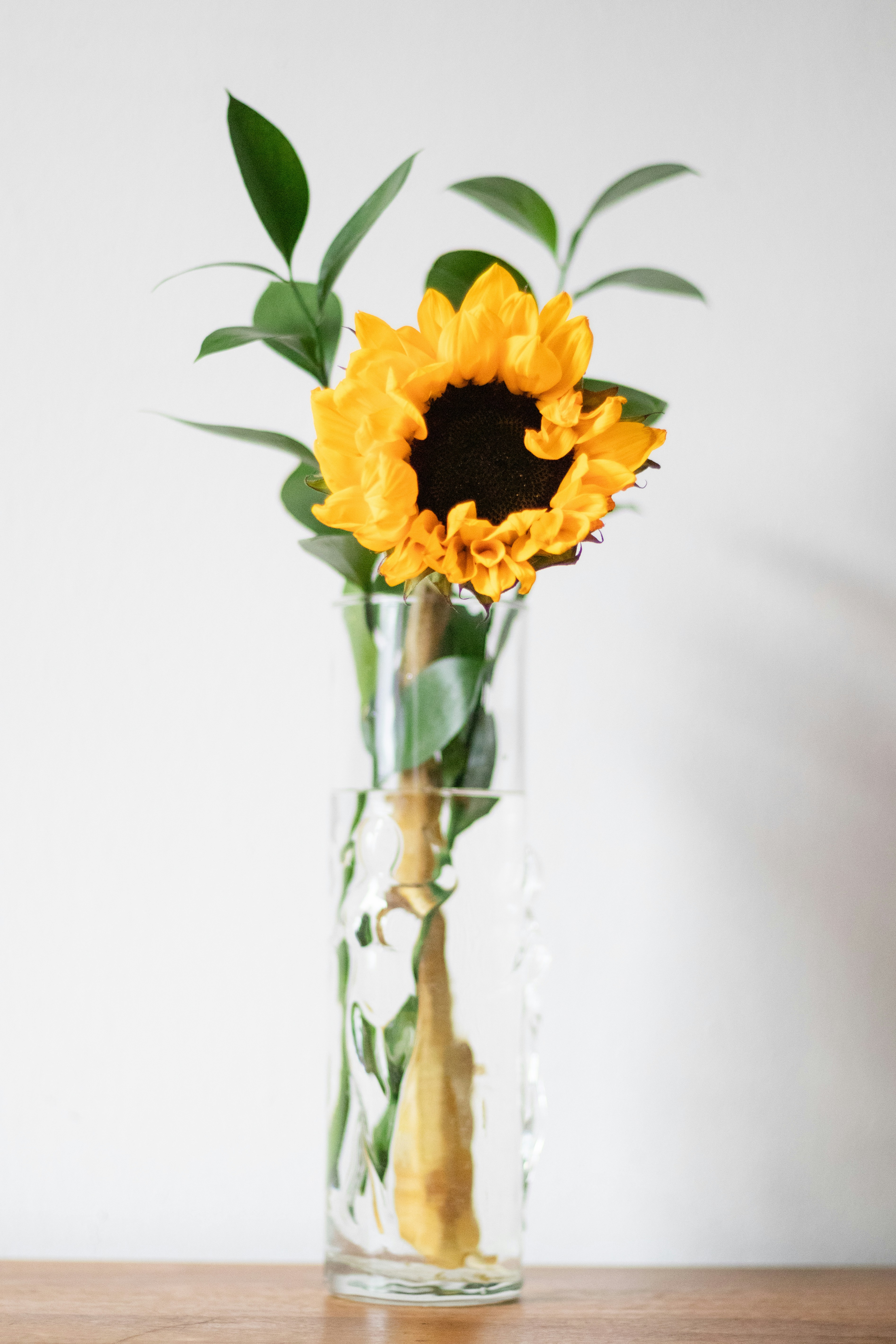 Photo by fionamurrayphoto