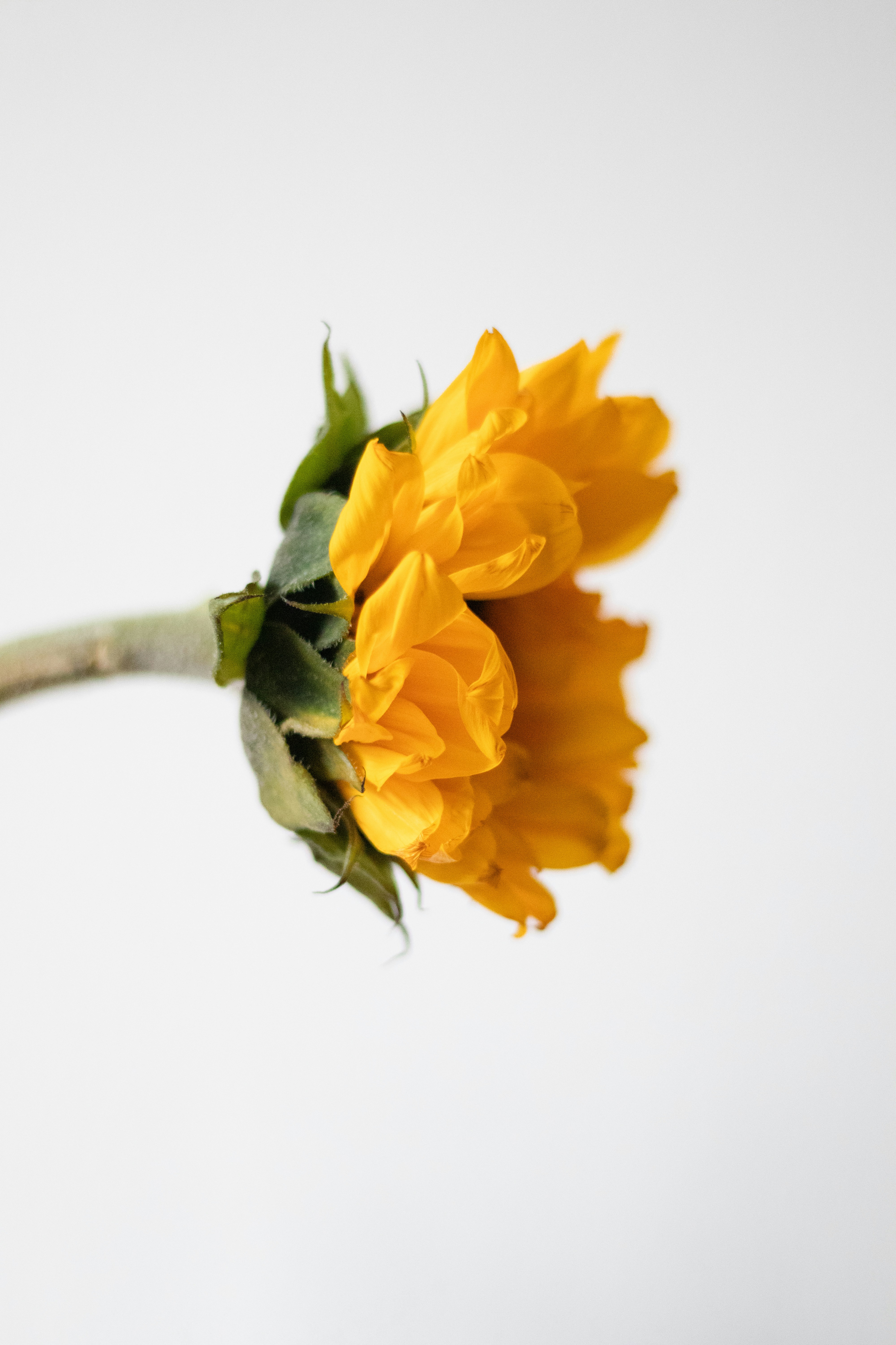 Photo by fionamurrayphoto