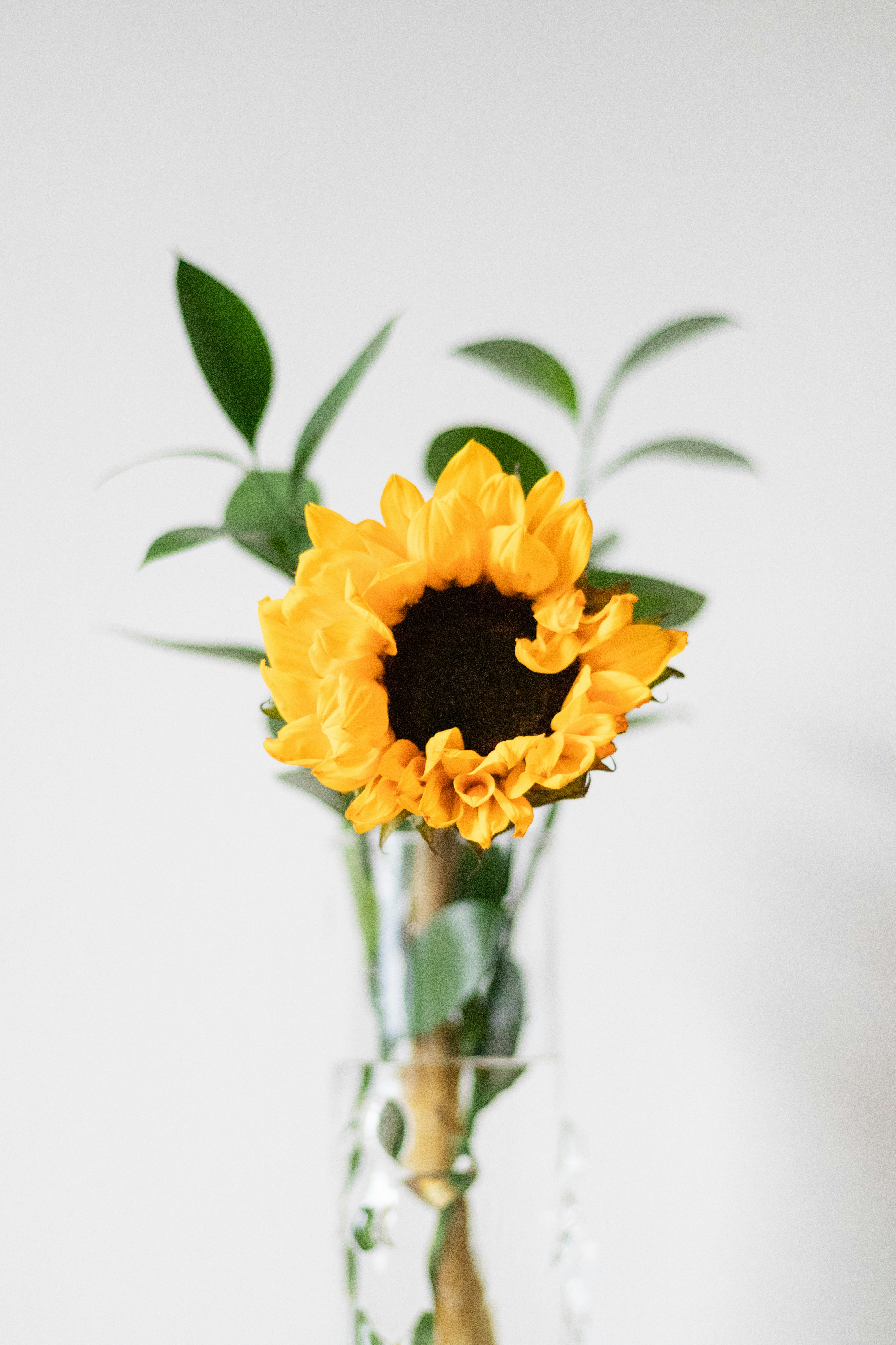 Photo by fionamurrayphoto