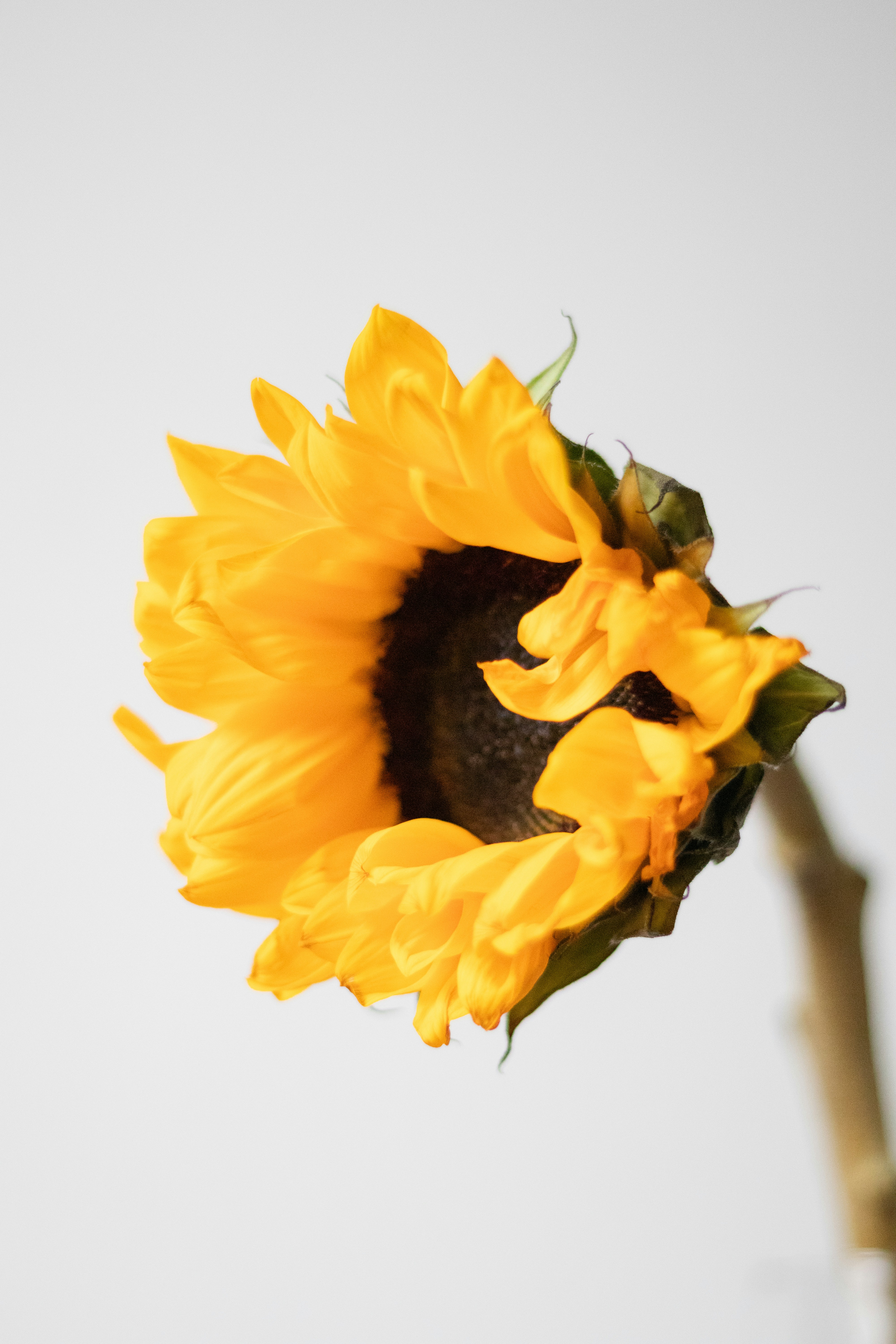 Photo by fionamurrayphoto