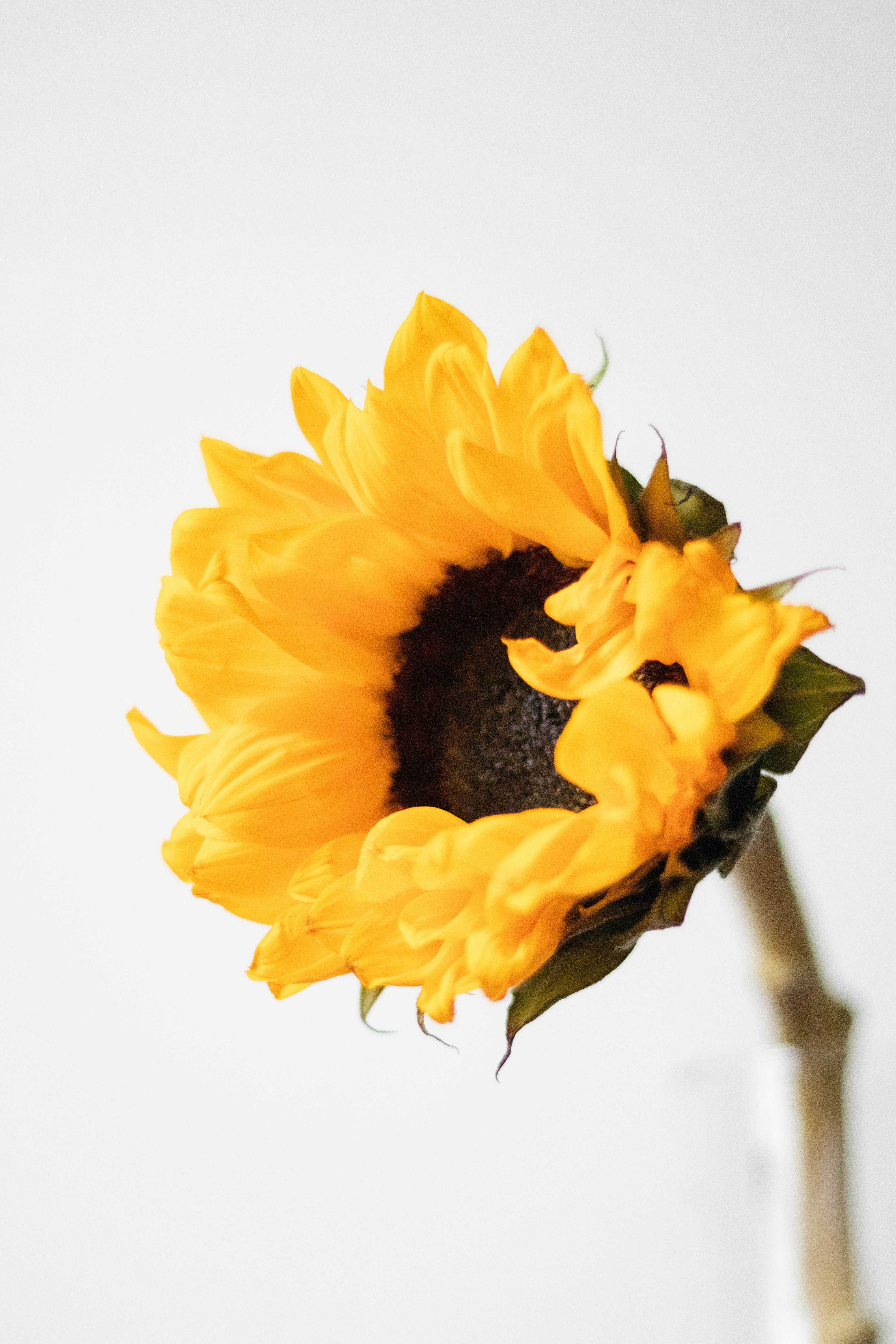 Photo by fionamurrayphoto