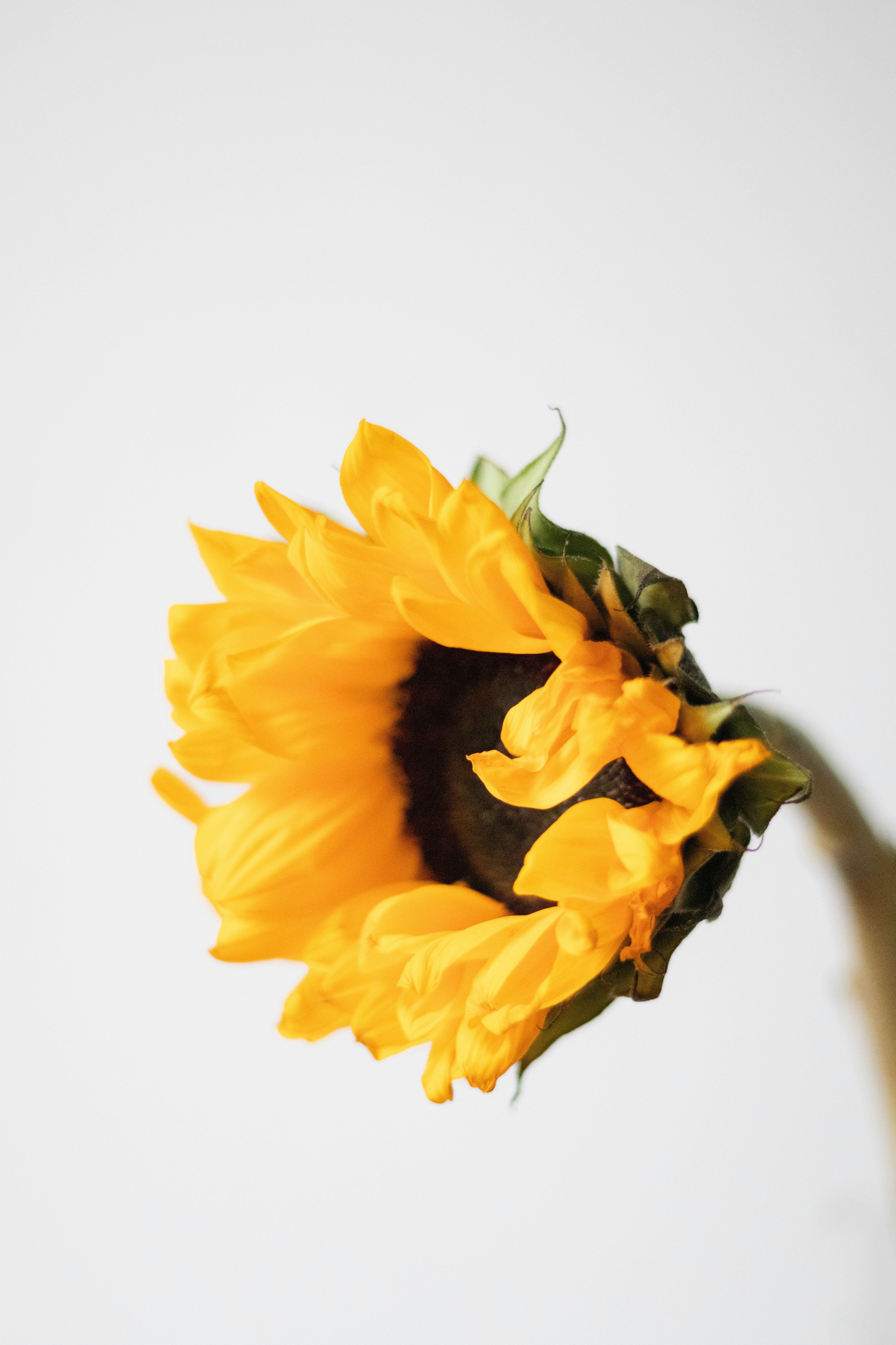 Photo by fionamurrayphoto