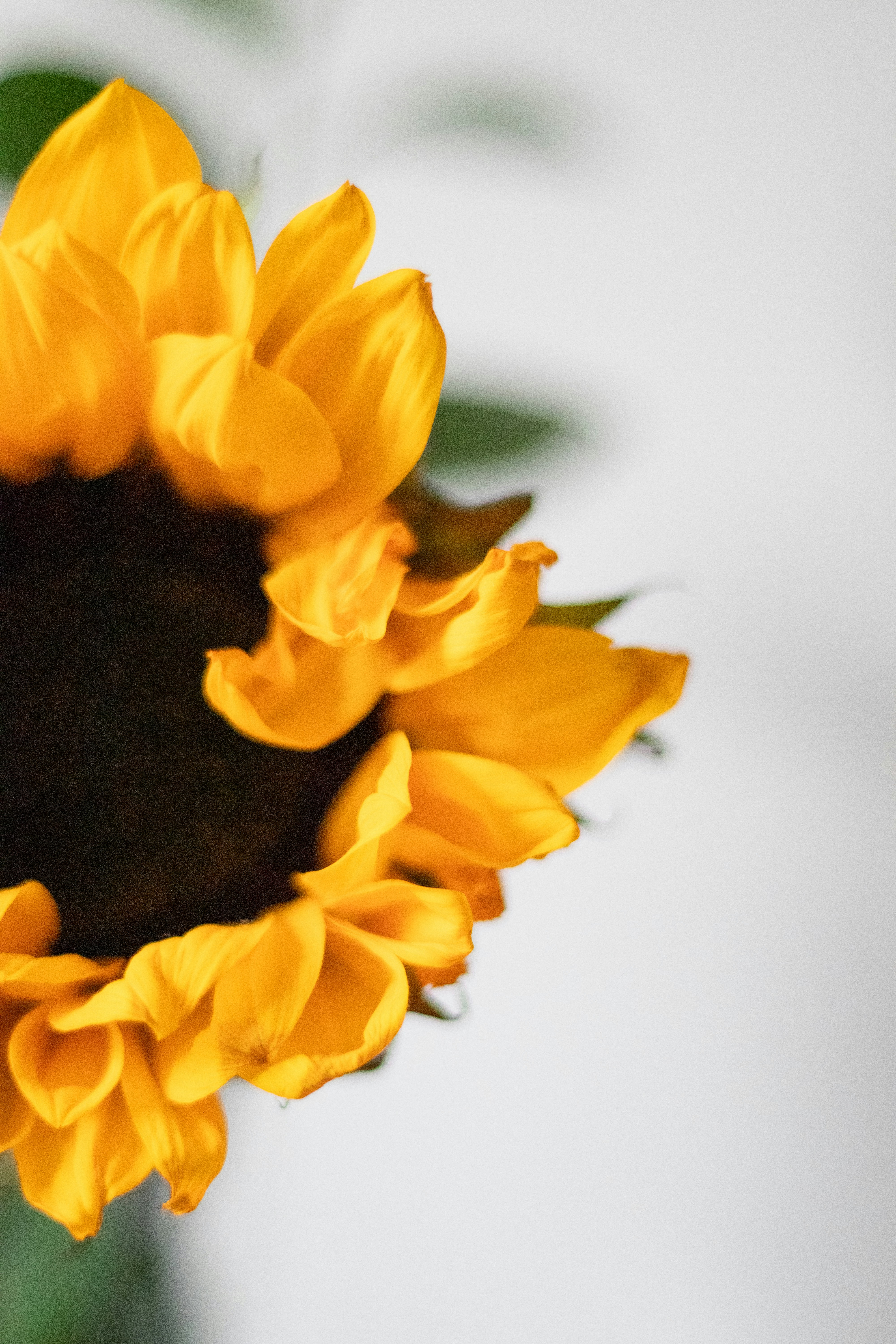 Photo by fionamurrayphoto