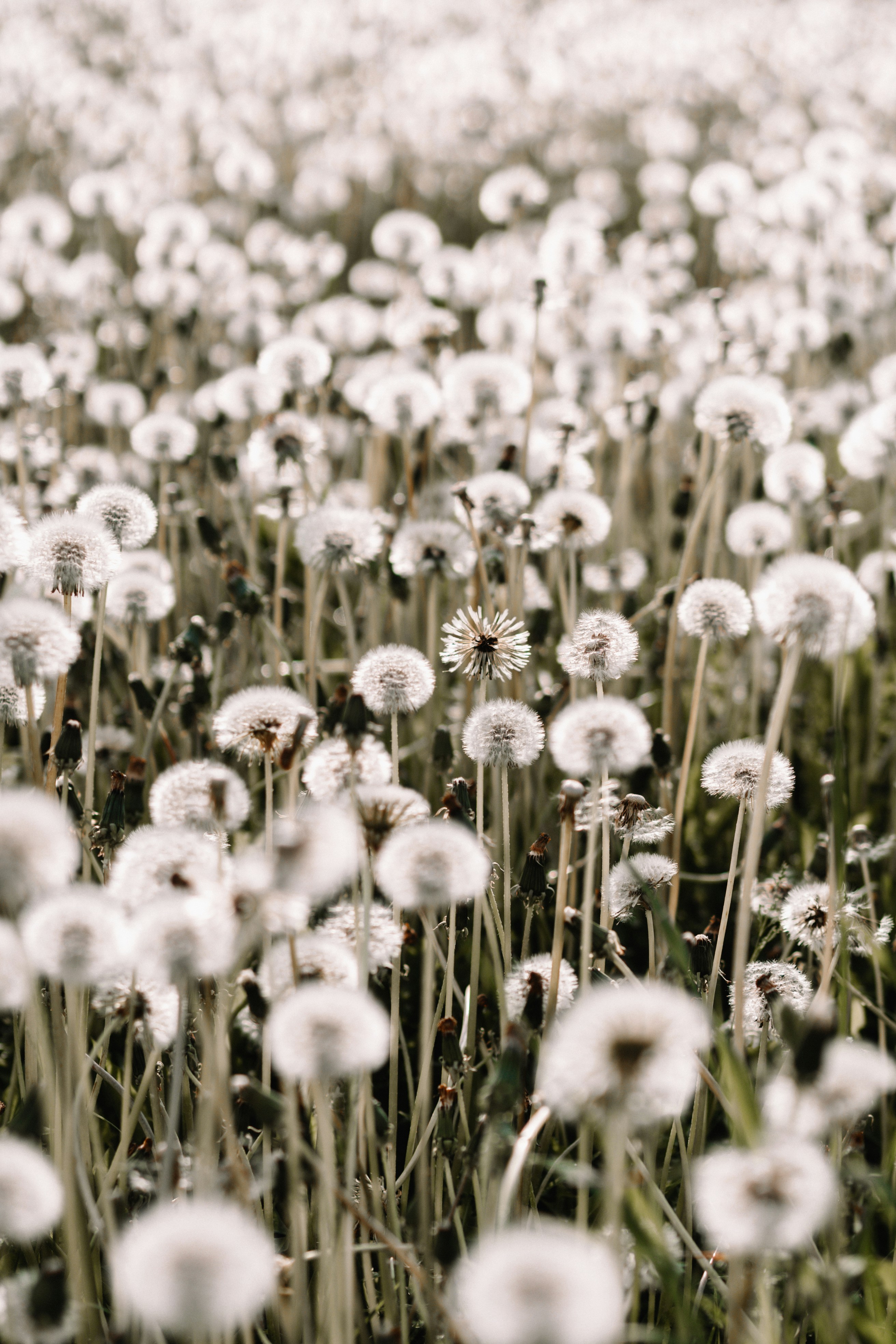 Photo by anamnesis33