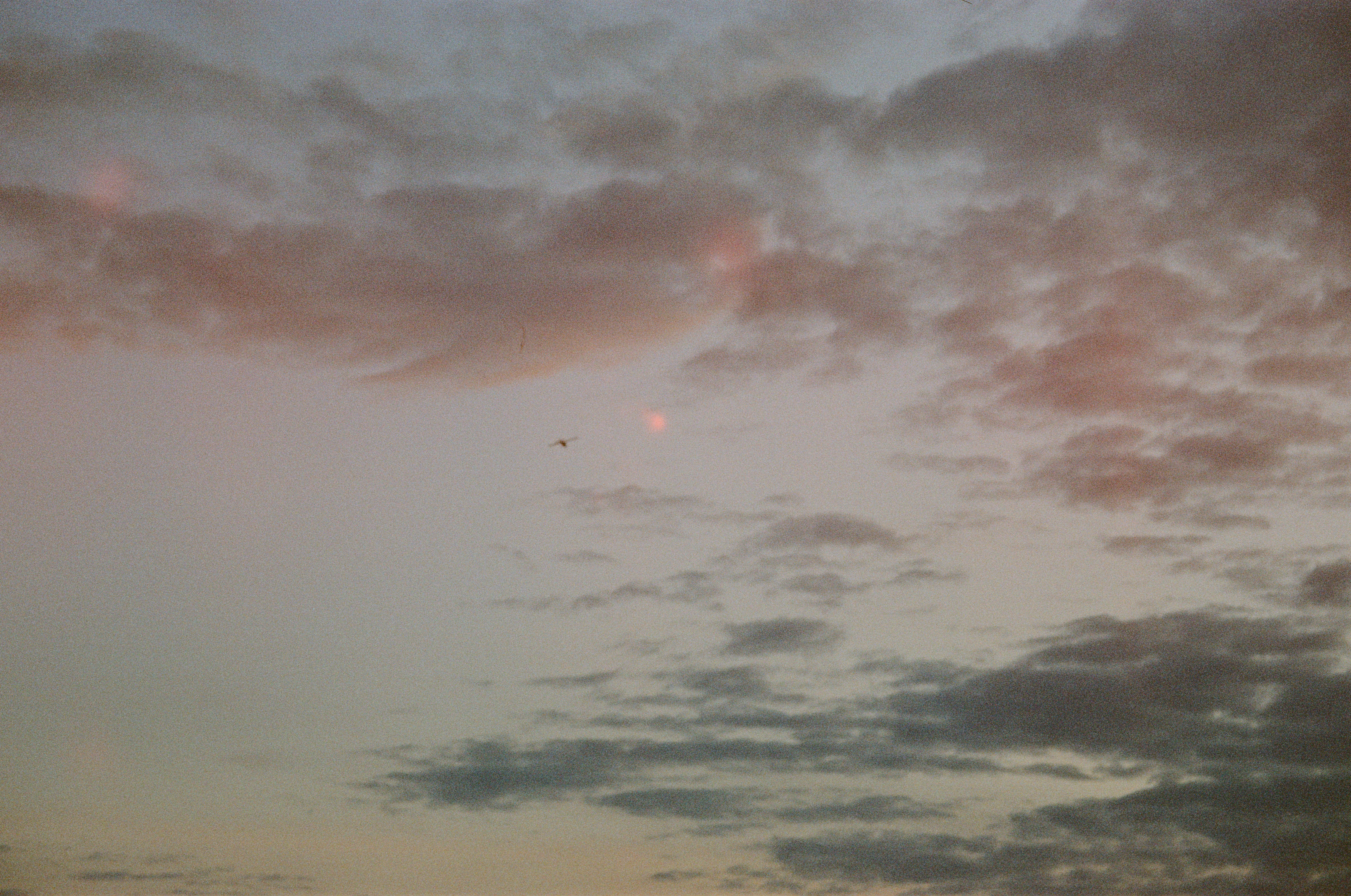 Photo by xdkomel
