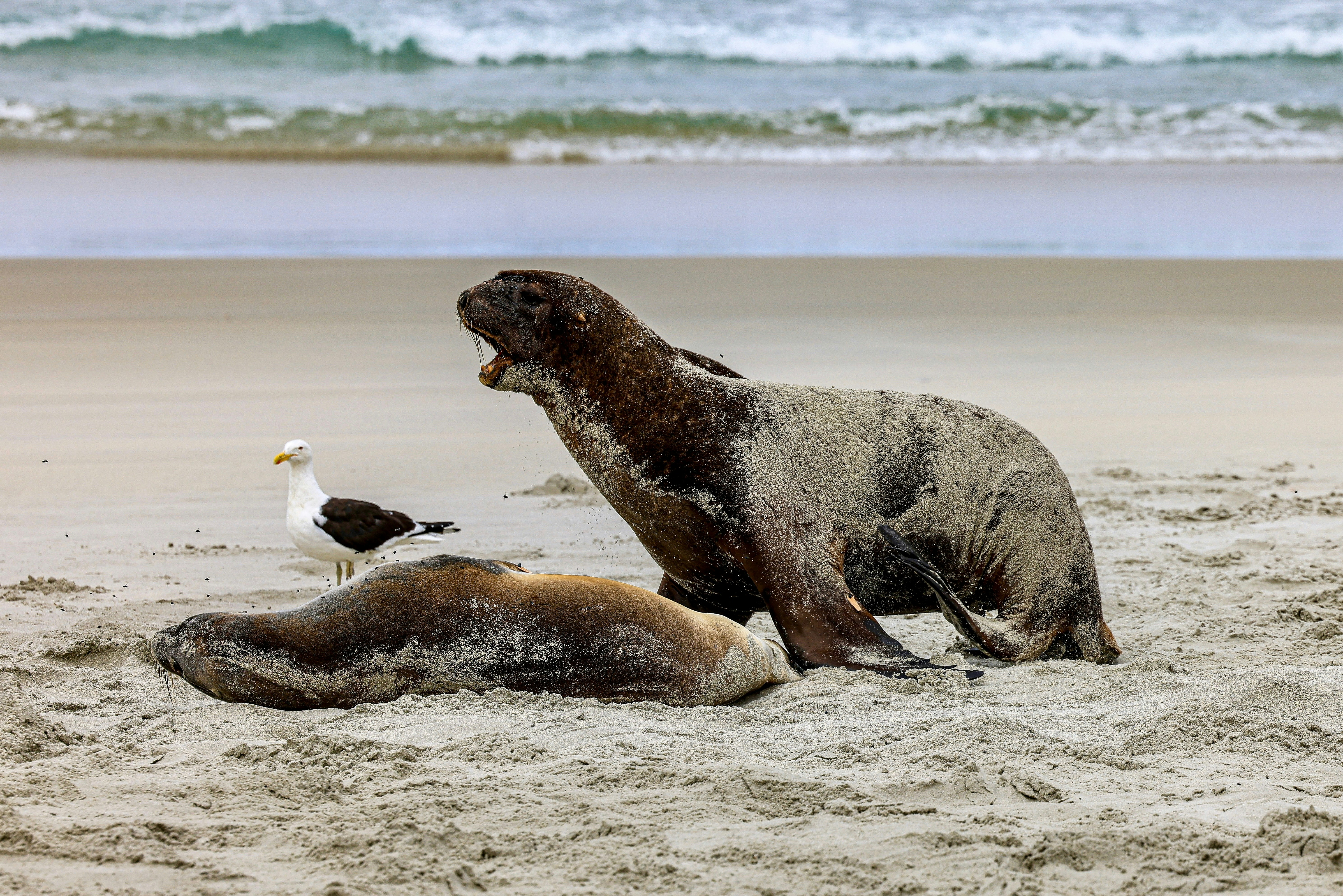 Photo by maximilian_brand