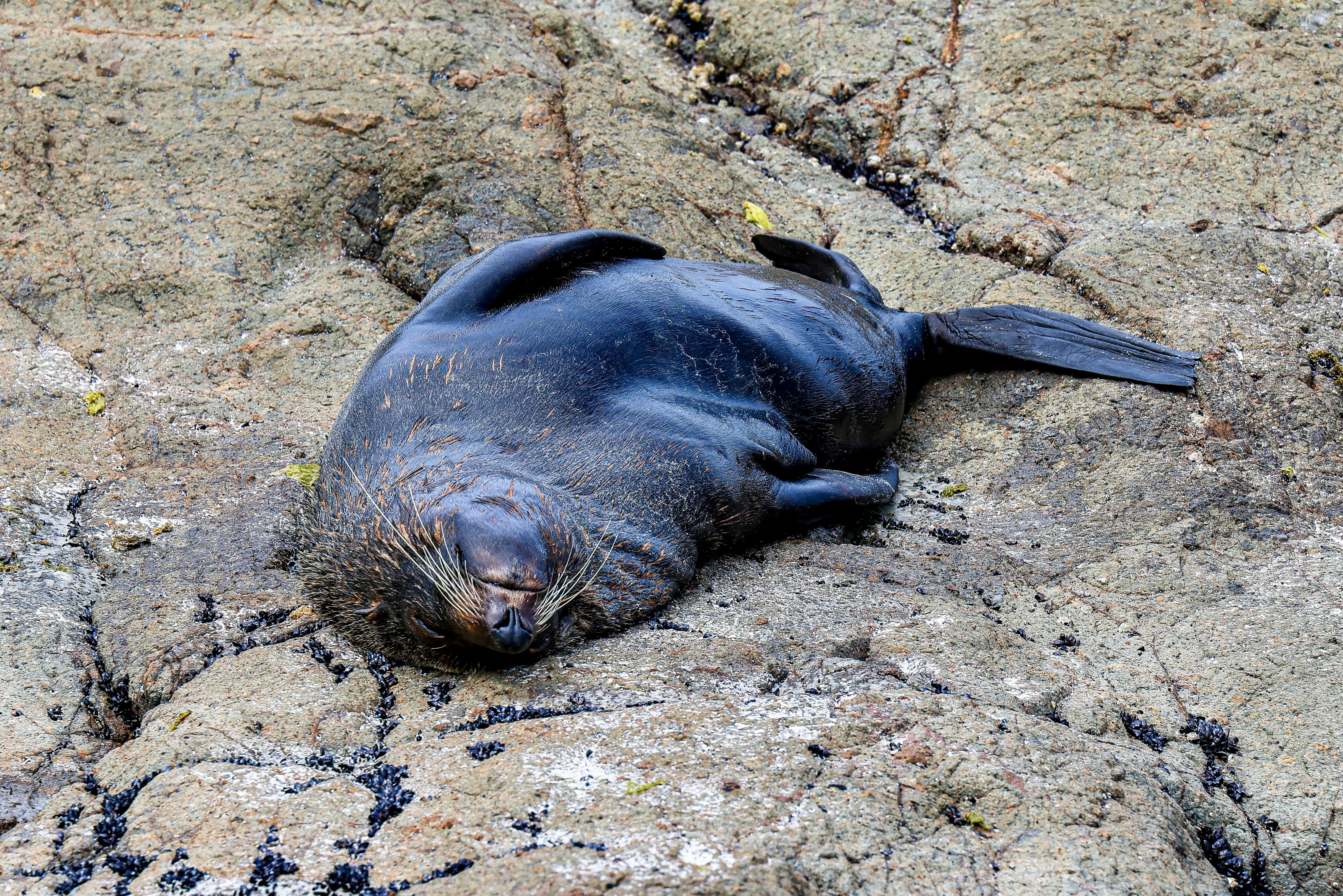 Photo by maximilian_brand