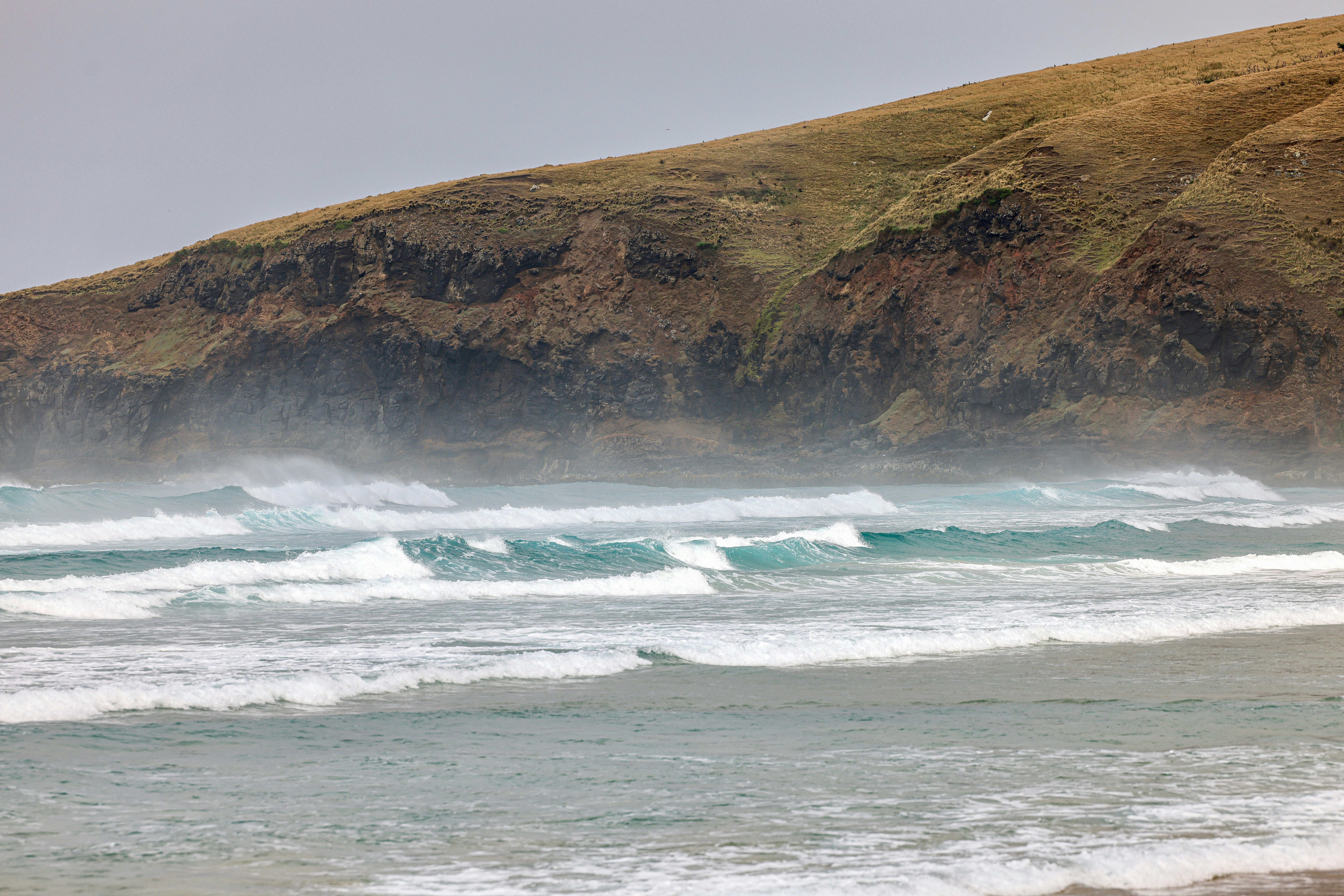 Photo by maximilian_brand