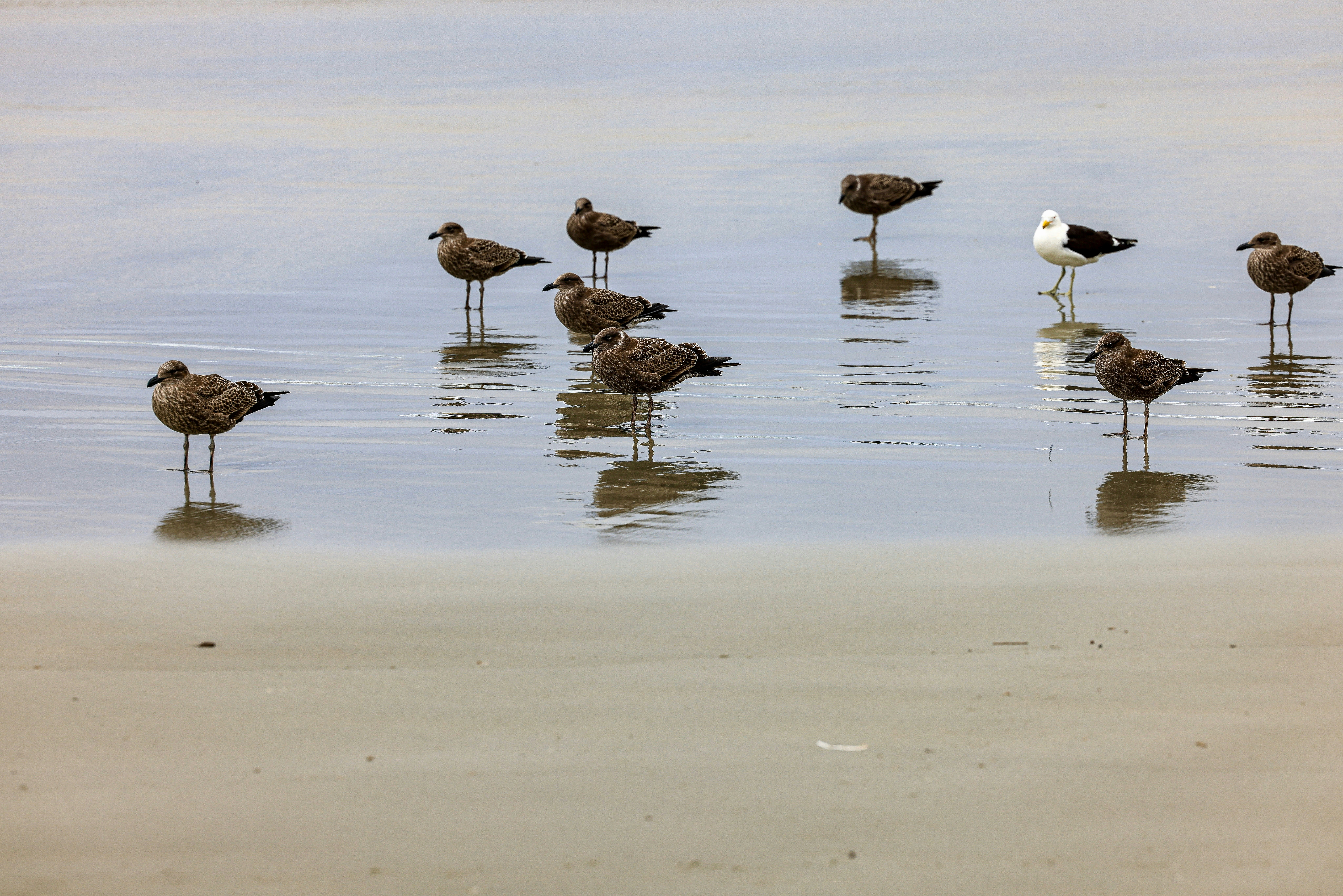 Photo by maximilian_brand