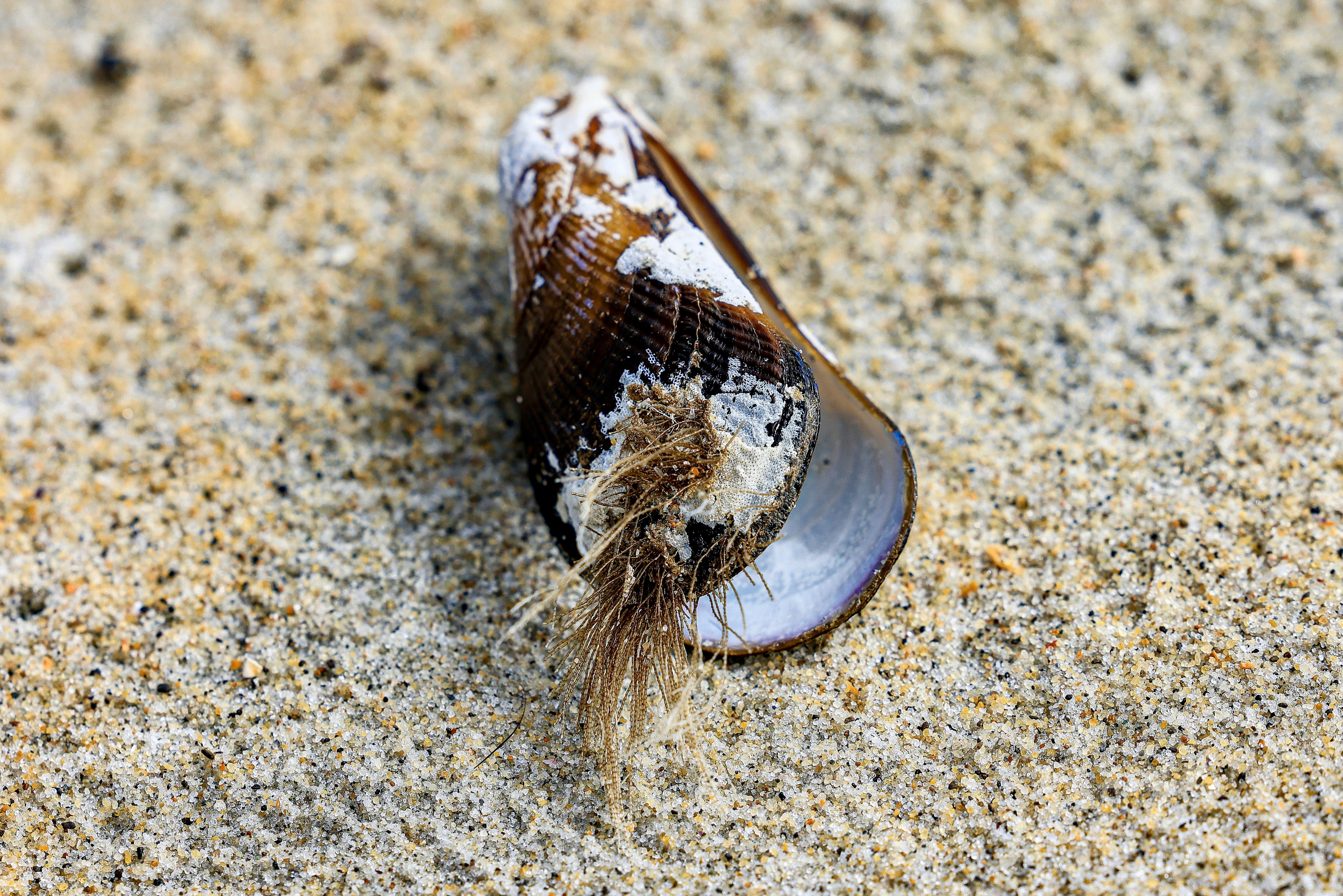 Photo by maximilian_brand