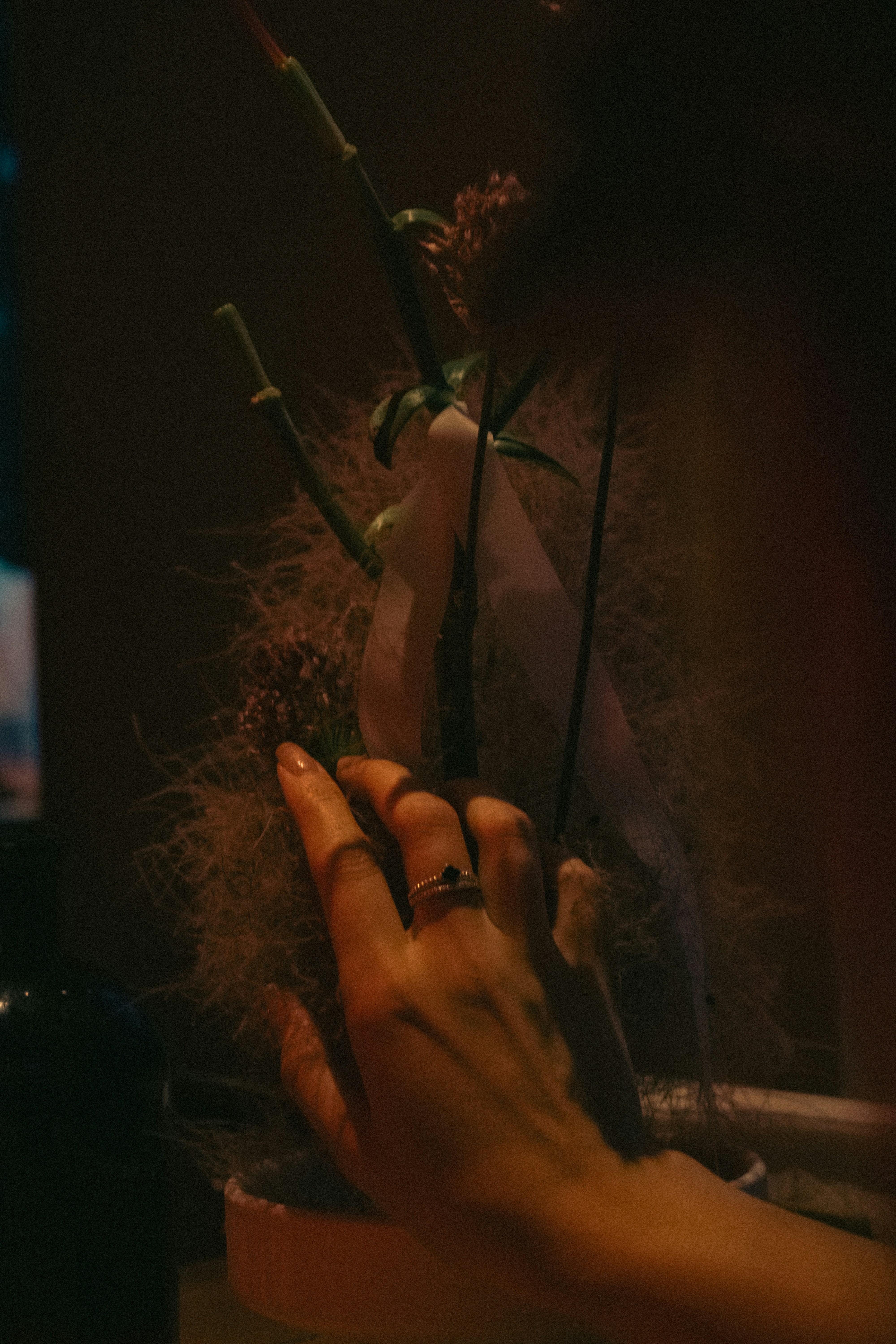 Professional root touch-up for flawless color maintenance