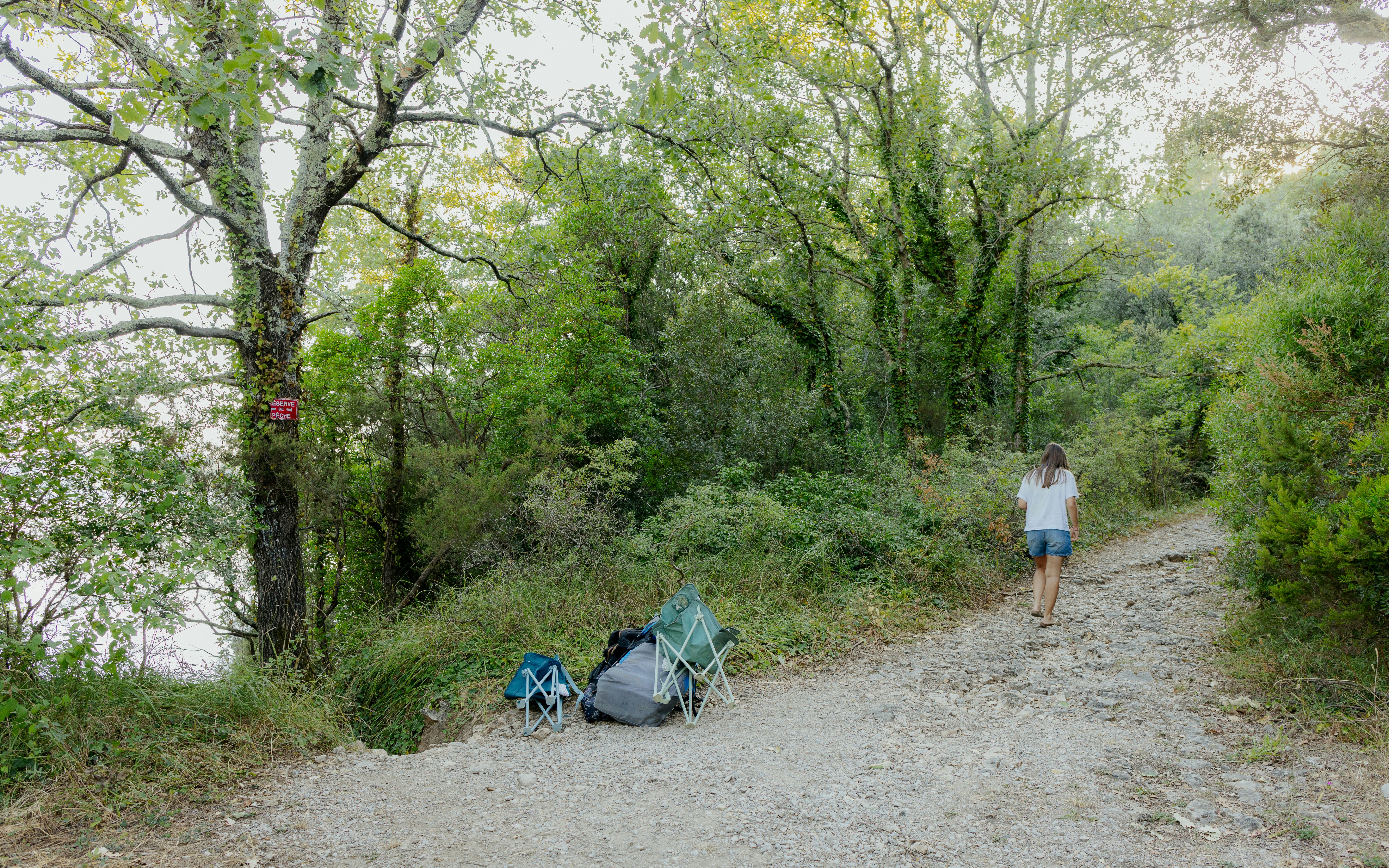 A person walks on a path near greenery.