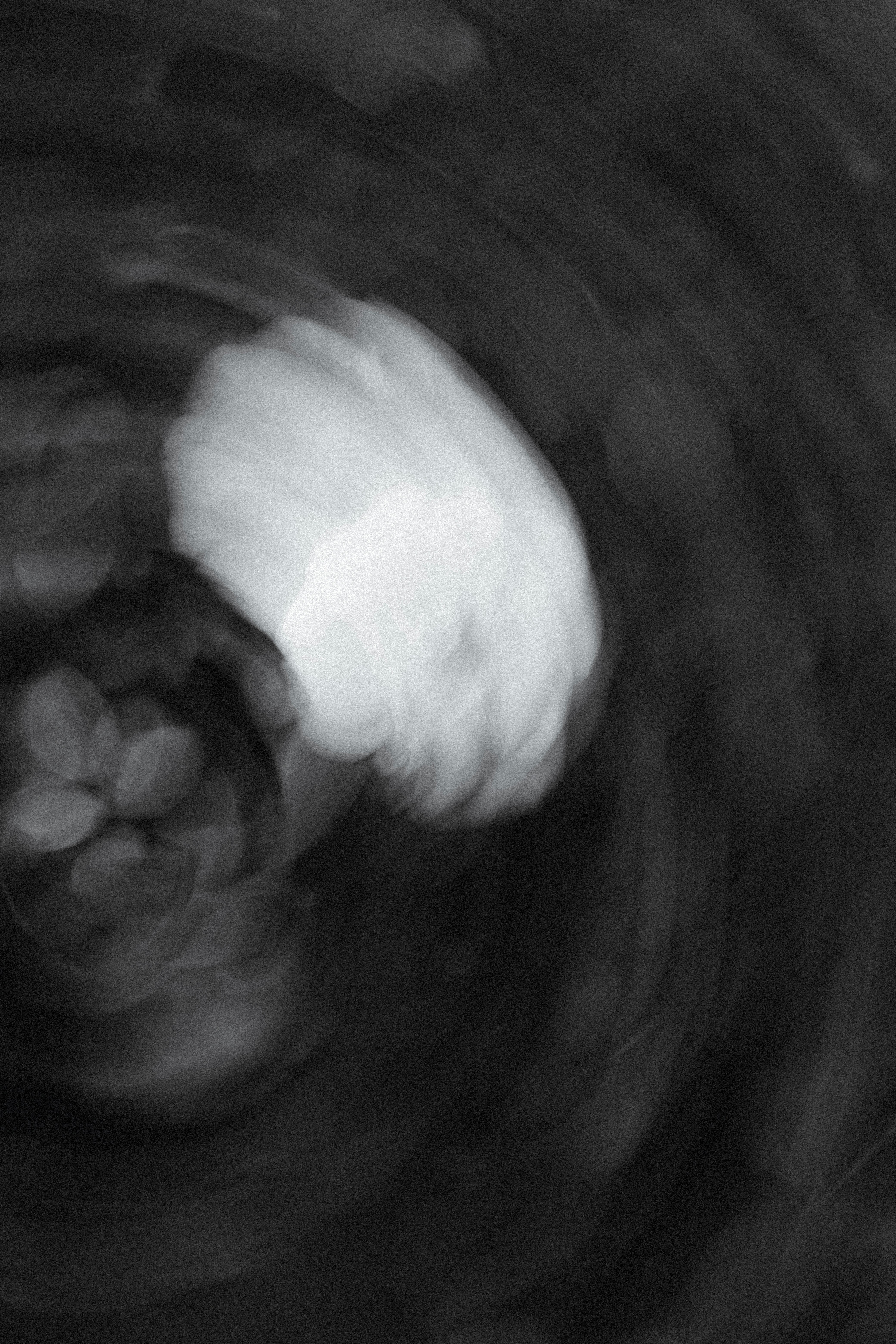 Photo by nikita_pishchugin