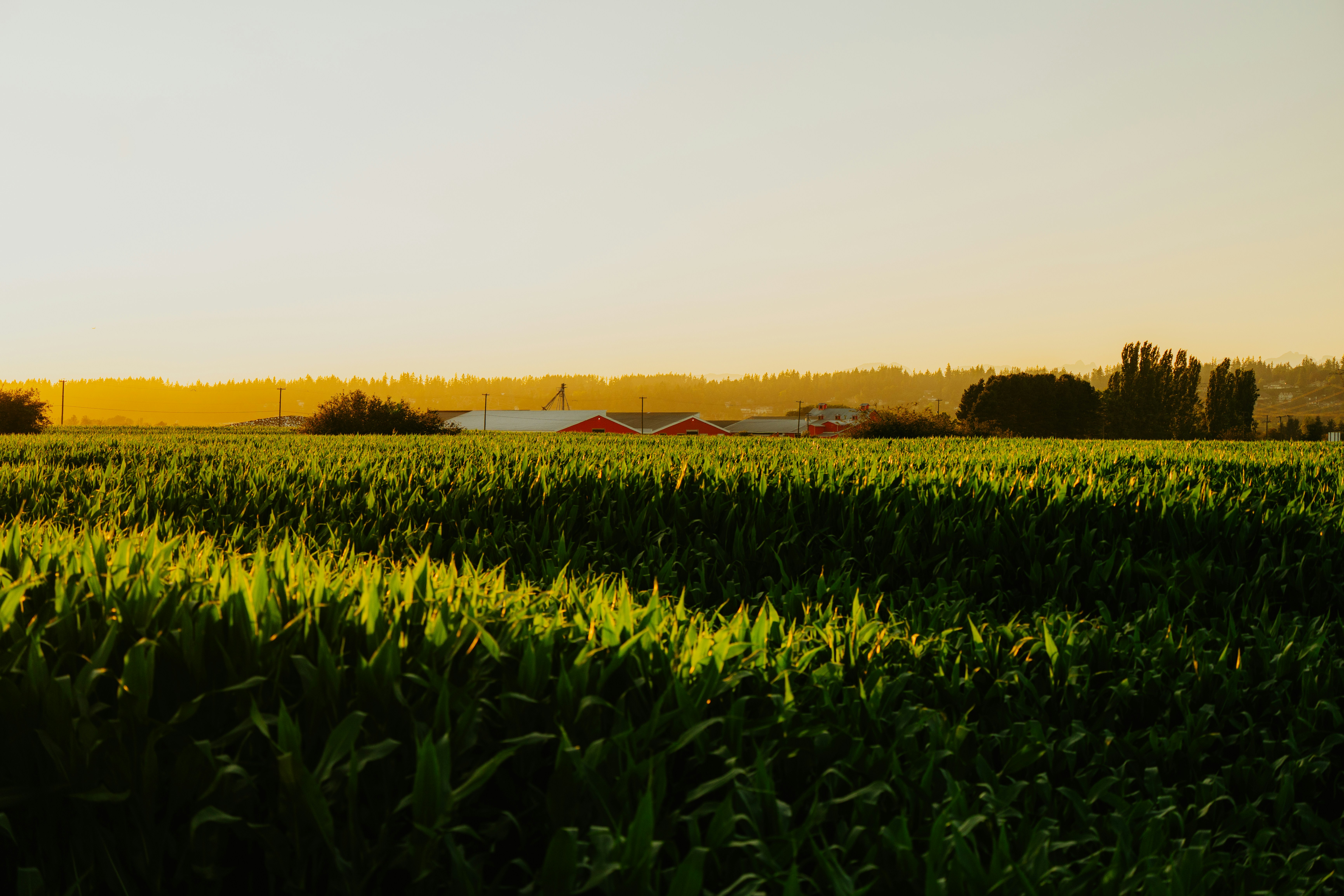 Photo by bylukemiller