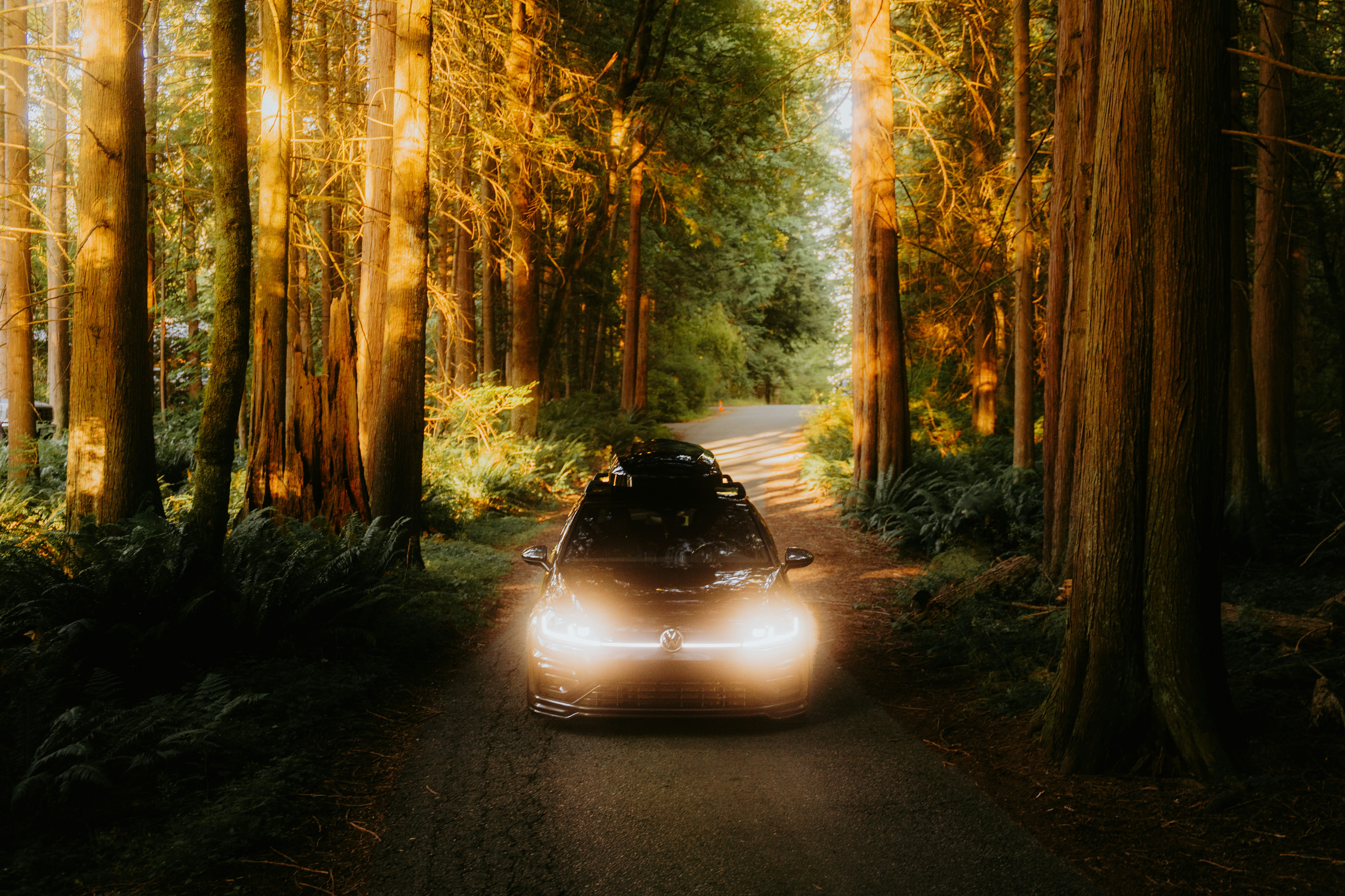 Photo by bylukemiller