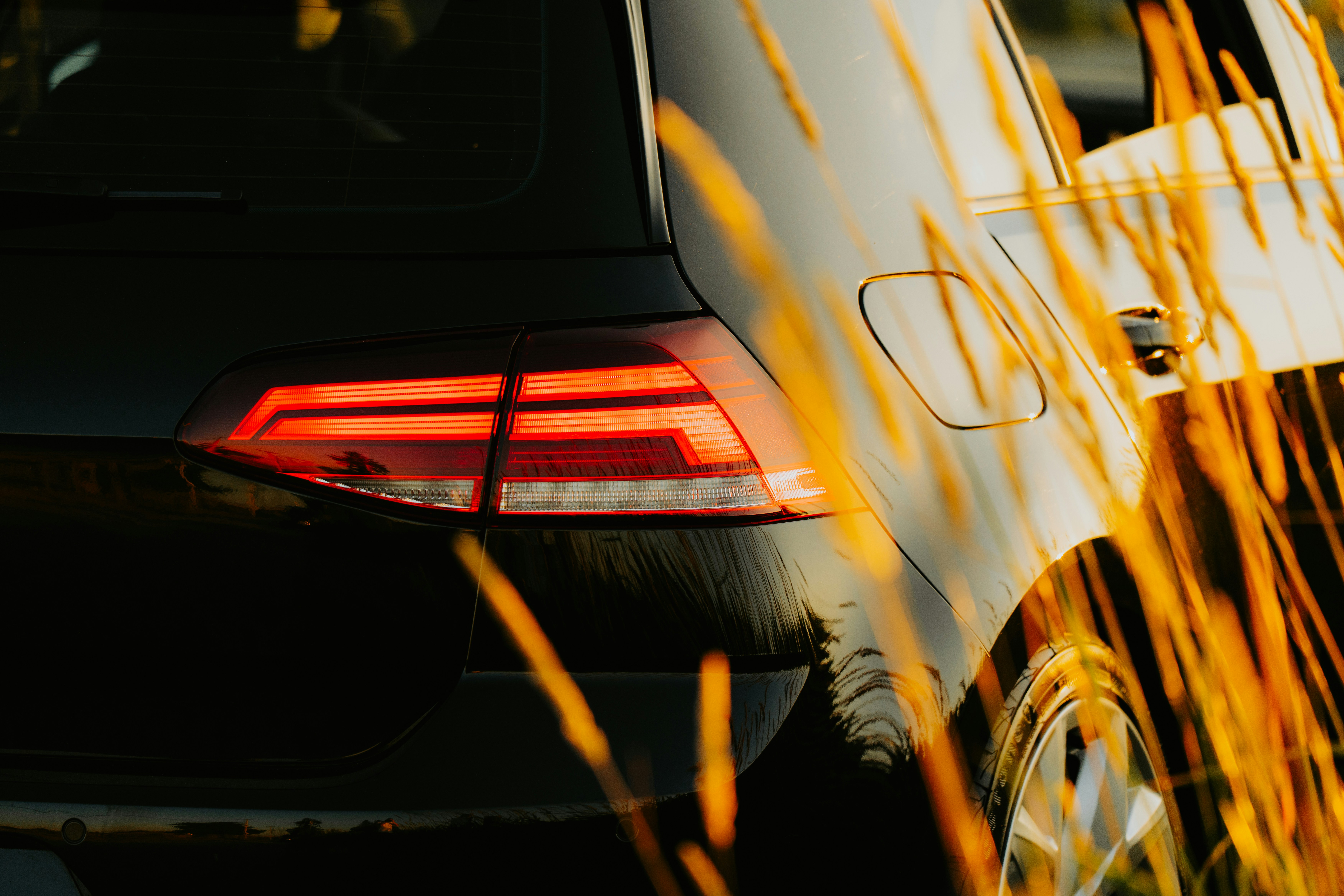 Photo by bylukemiller