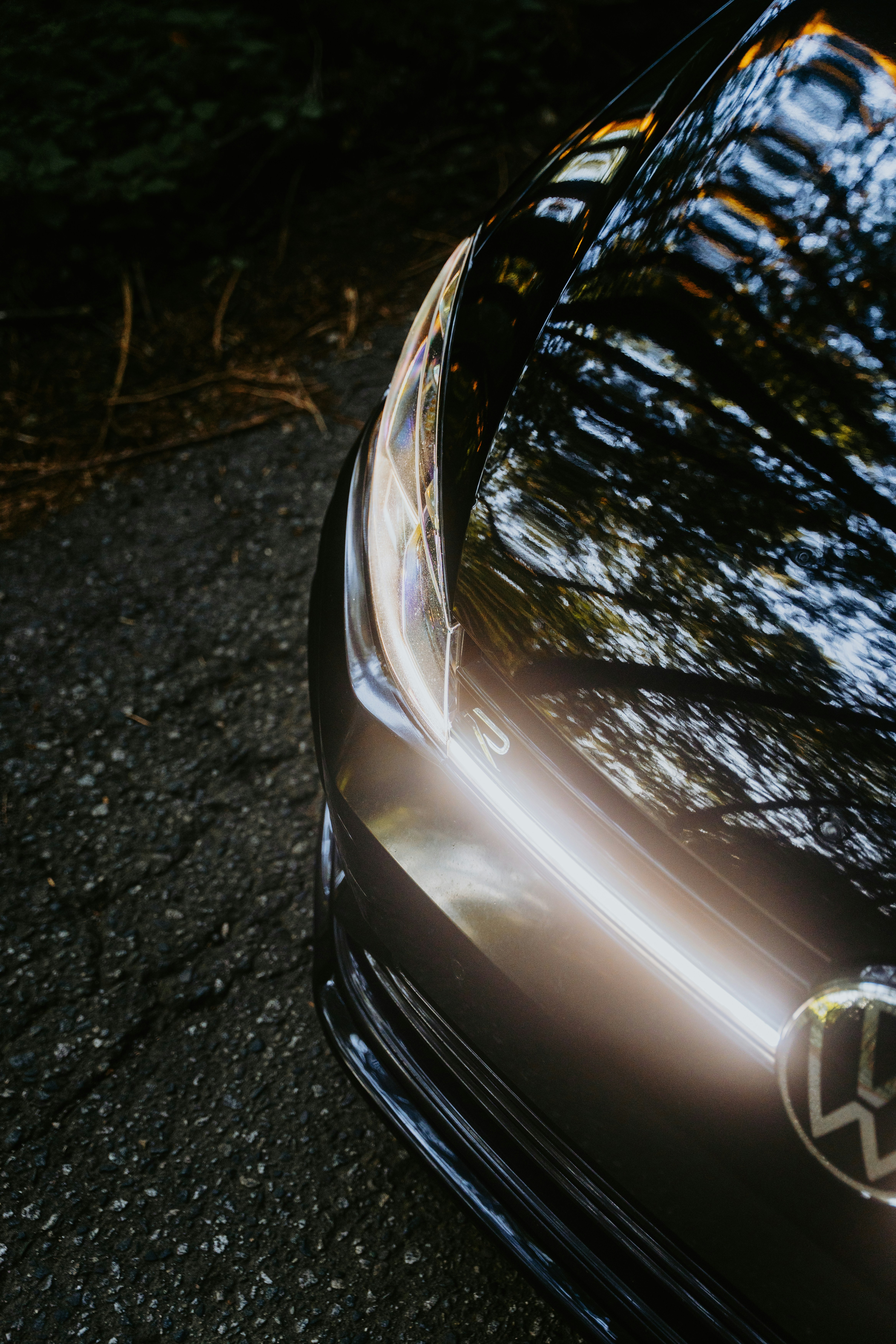 Photo by bylukemiller