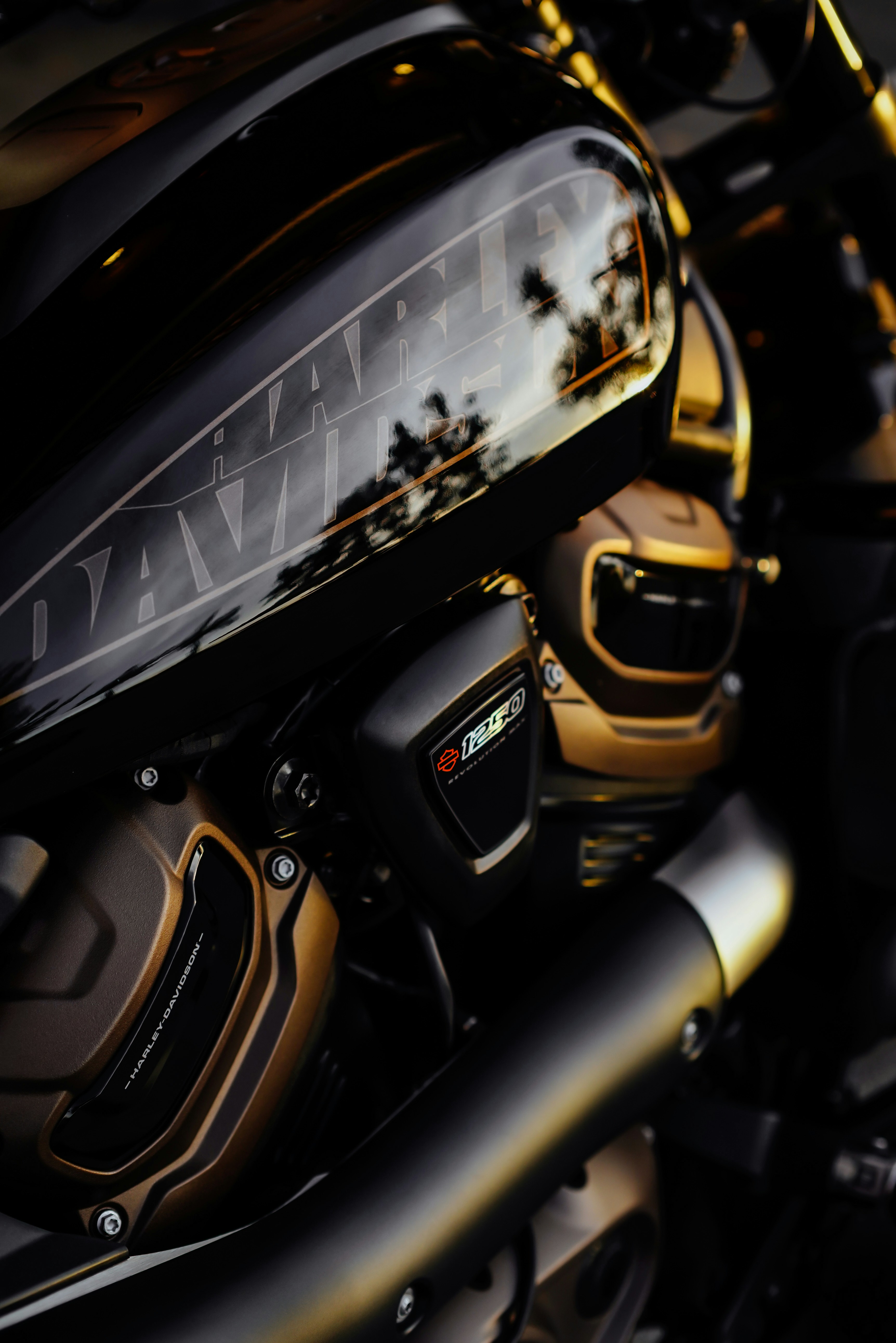Close-up of a sleek, black and gold harley-davidson.