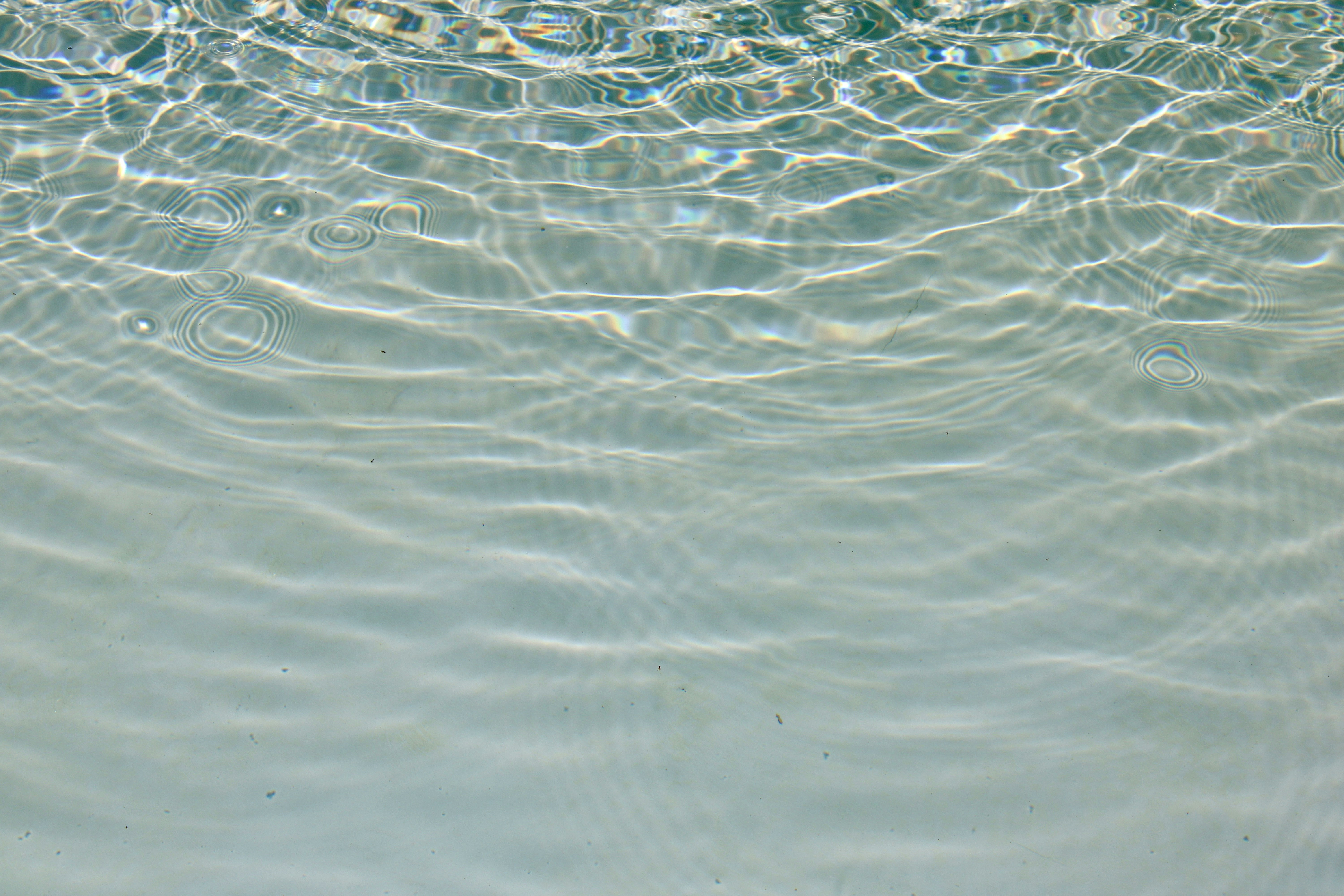 Rippled water reflects sunlight.