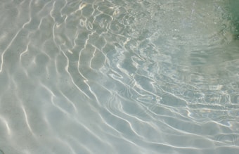 Ripples reflect light in clear water.
