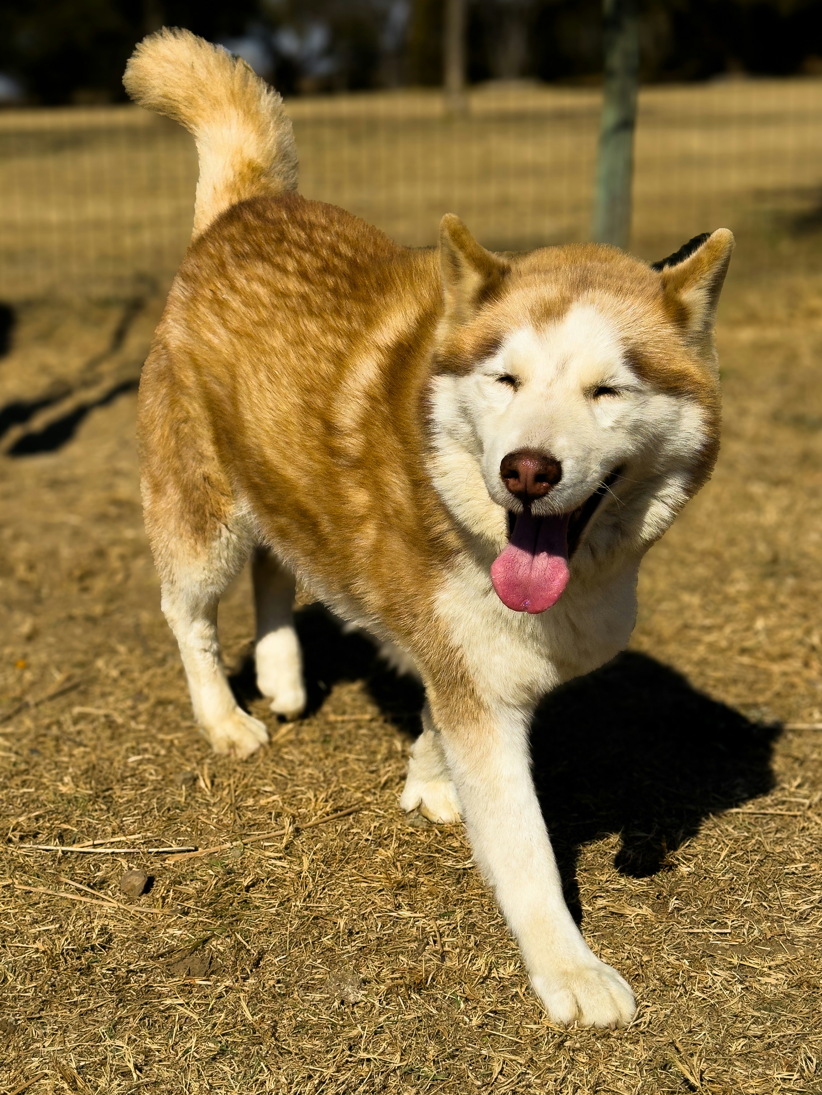 Photo by jaymal_kali