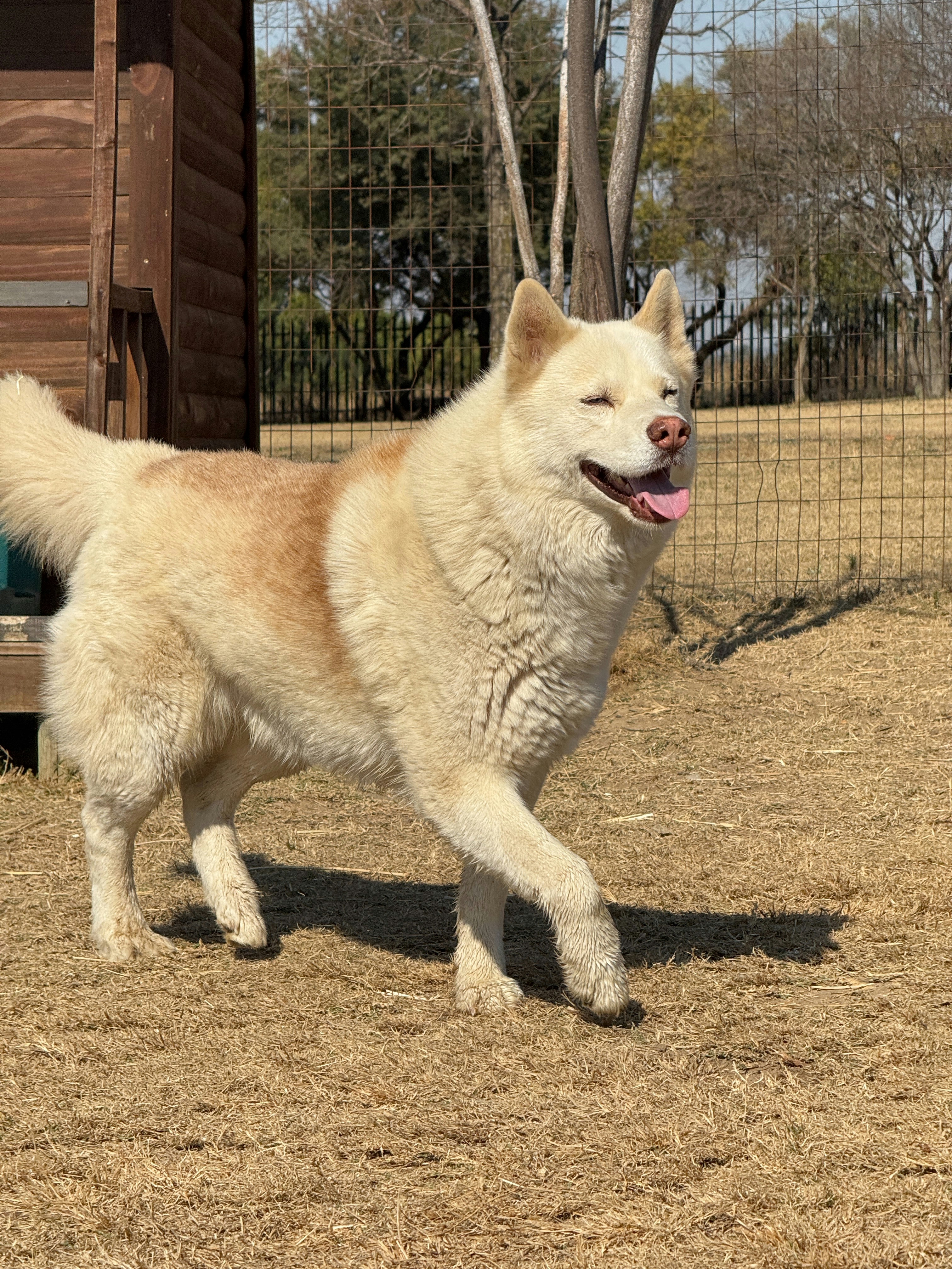 Photo by jaymal_kali