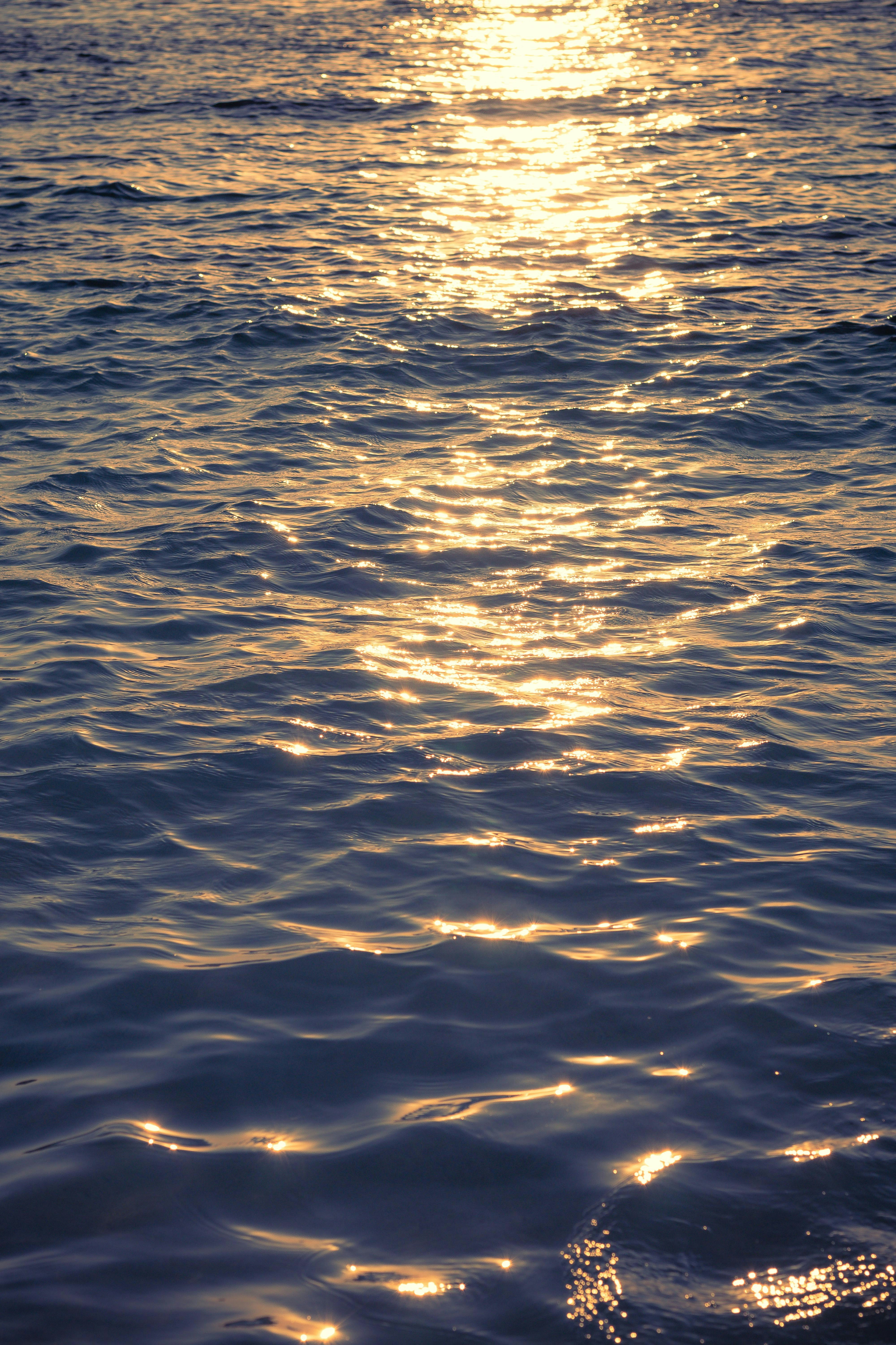 Photo by arlindphotography