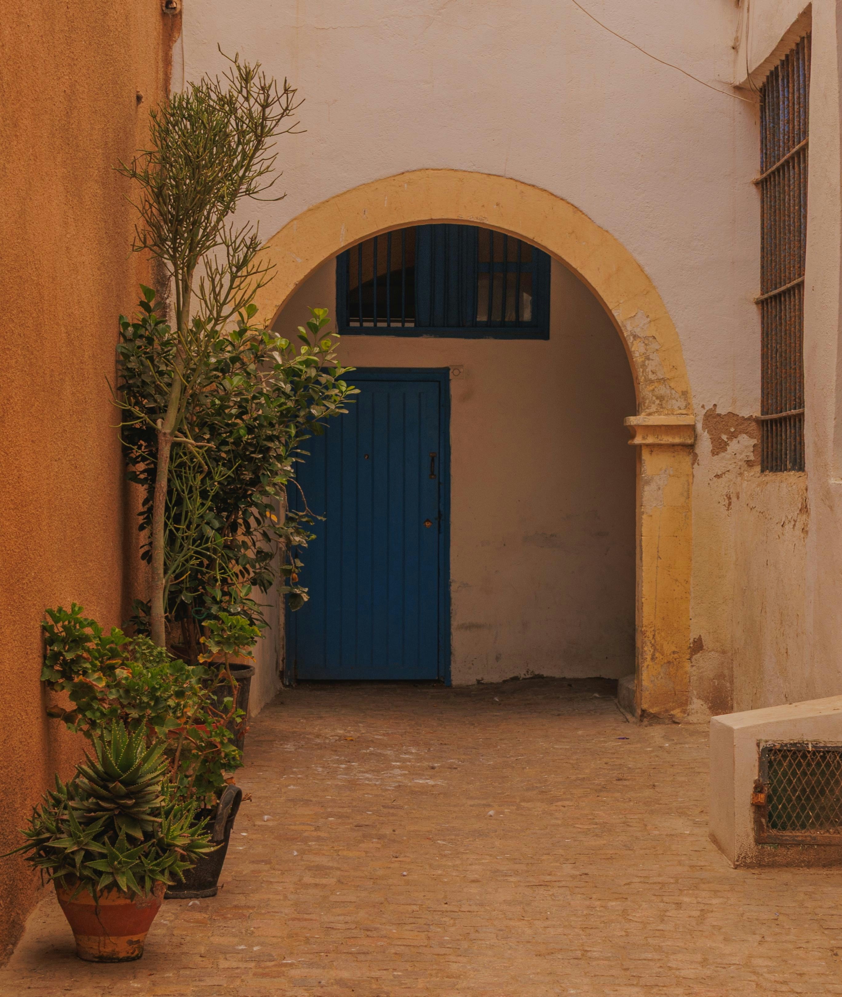 Photo by abdelkader1001