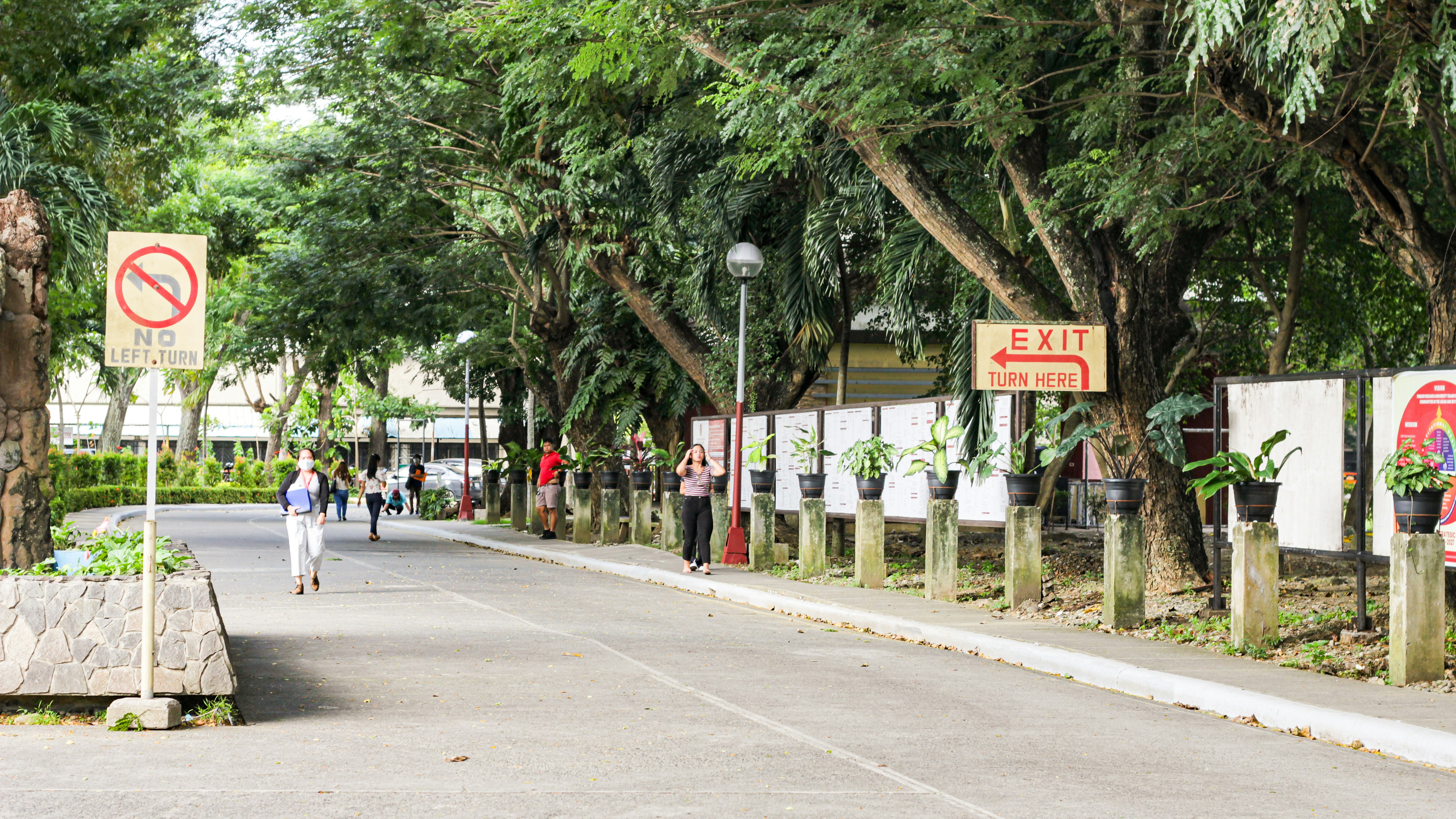 People walk along a tree-lined road.