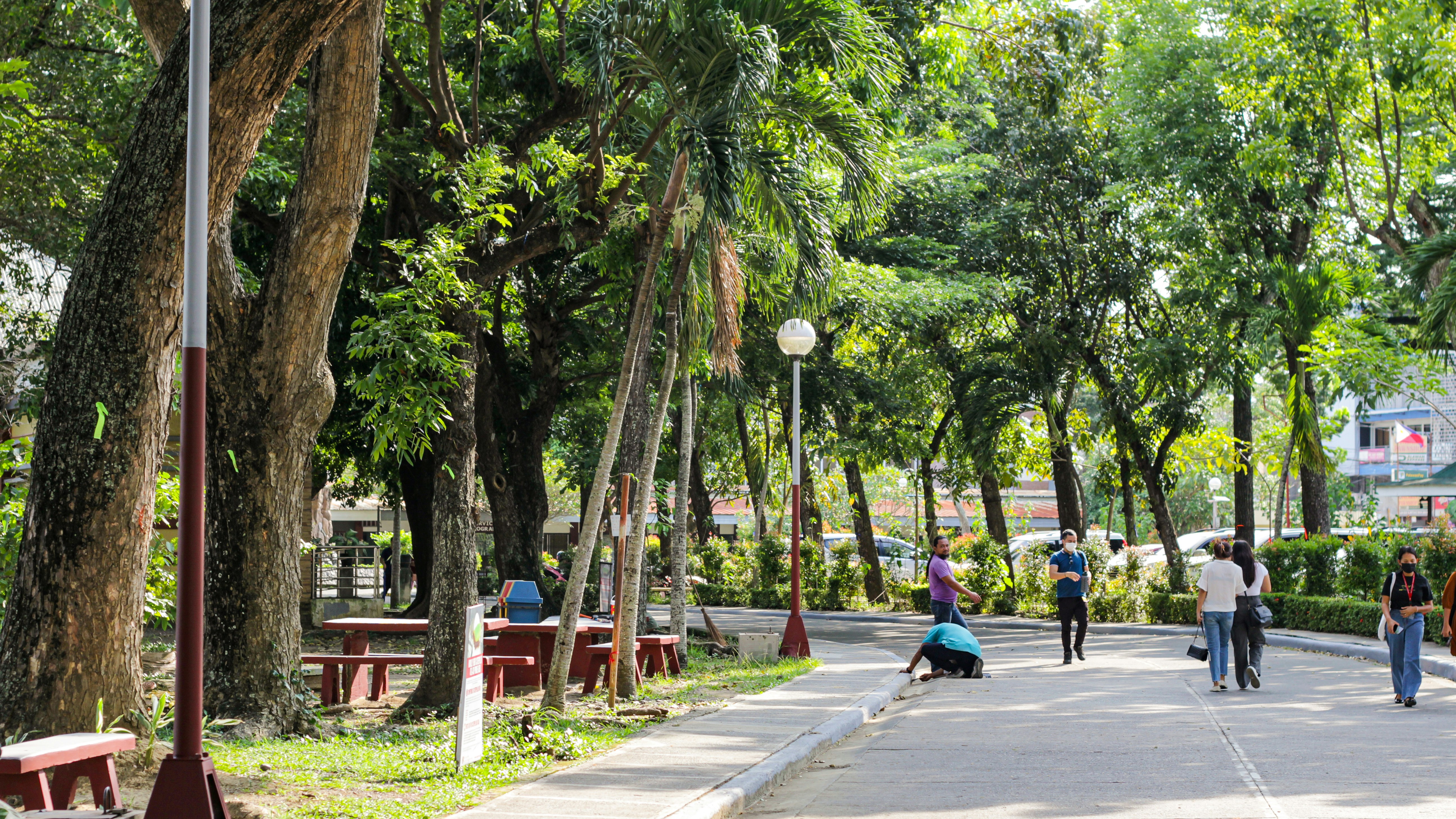 Davao – Weather & Seasonal Patterns