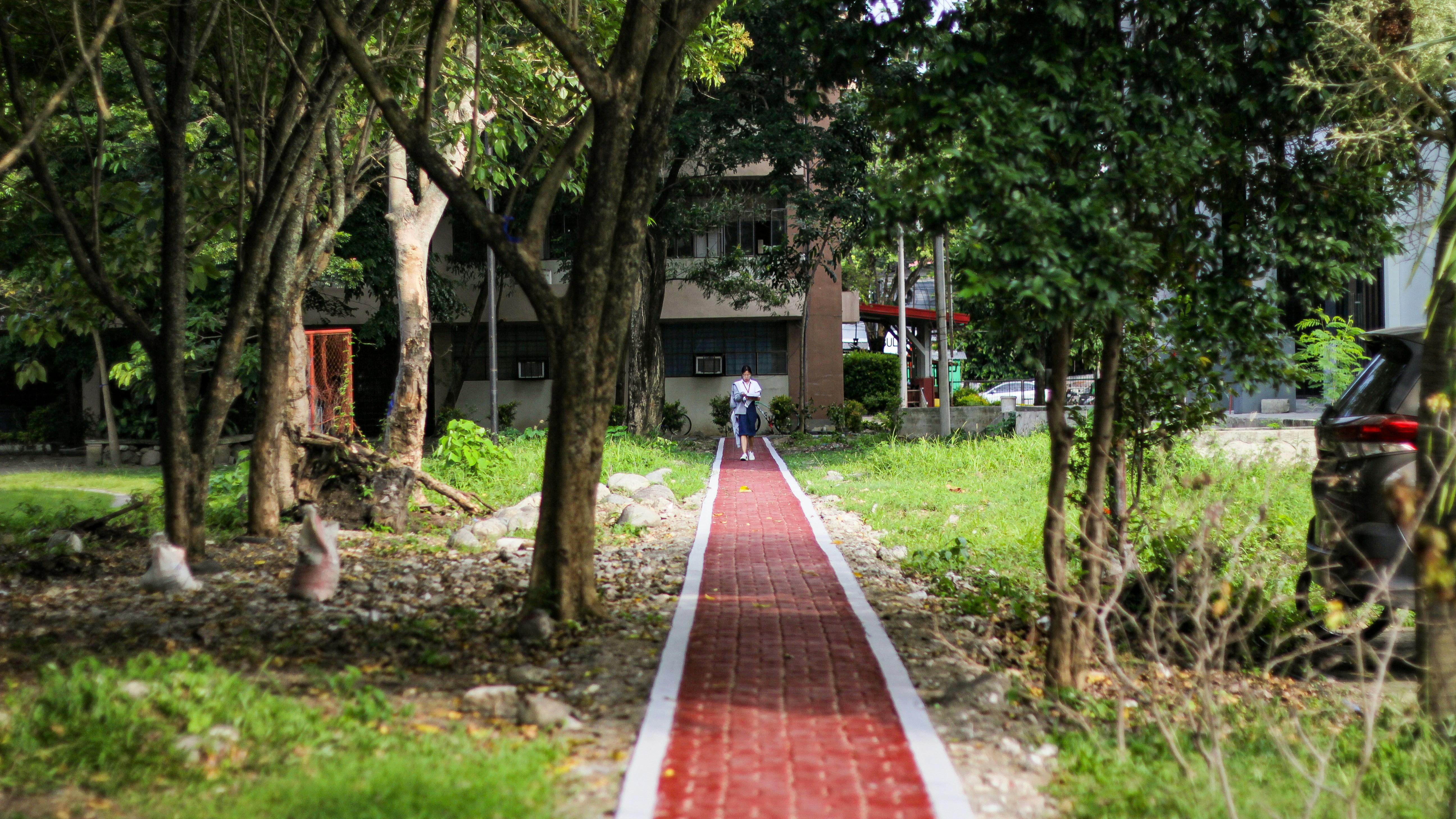 緑豊かな公園を抜ける小道が続いています。