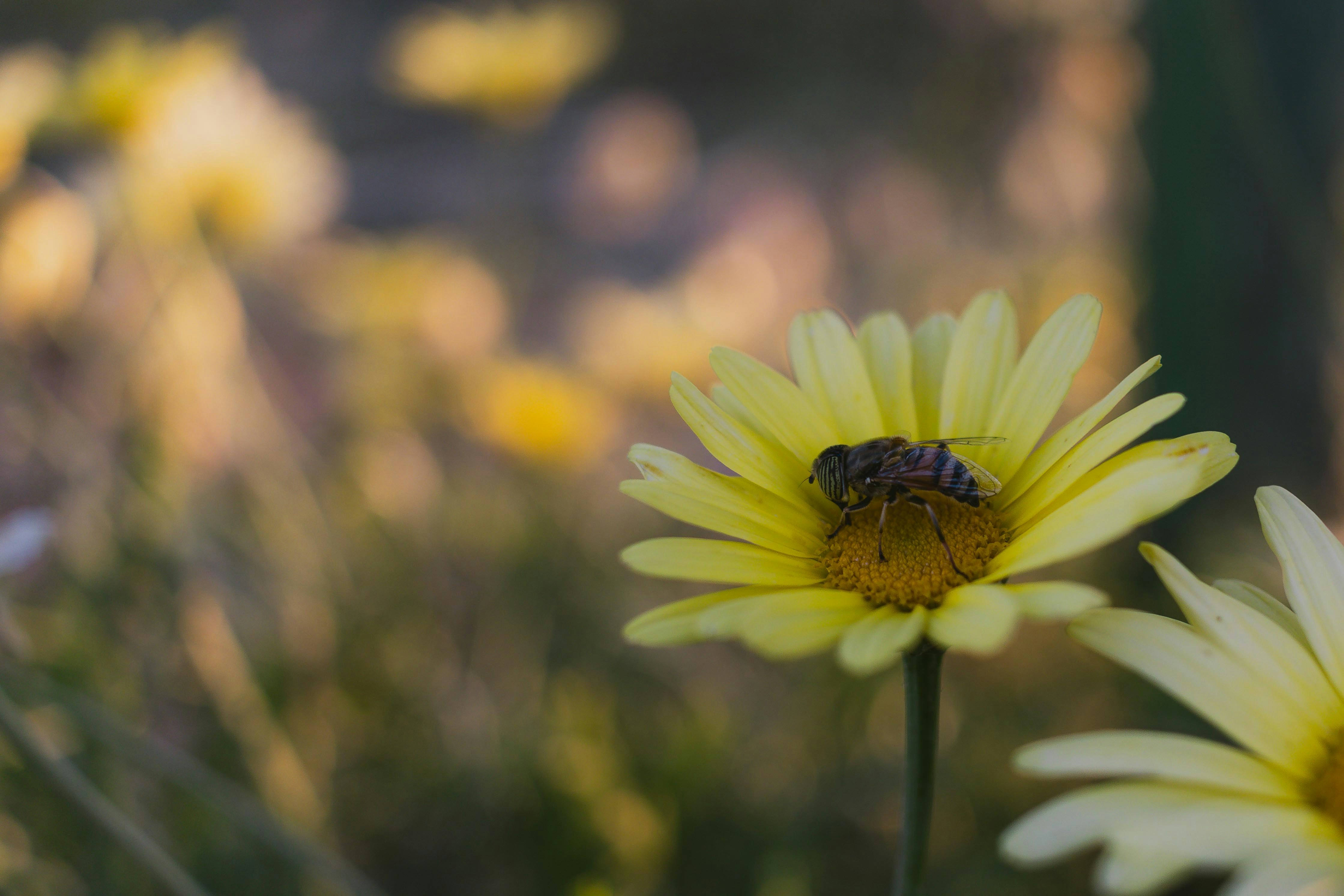 Photo by arlindphotography