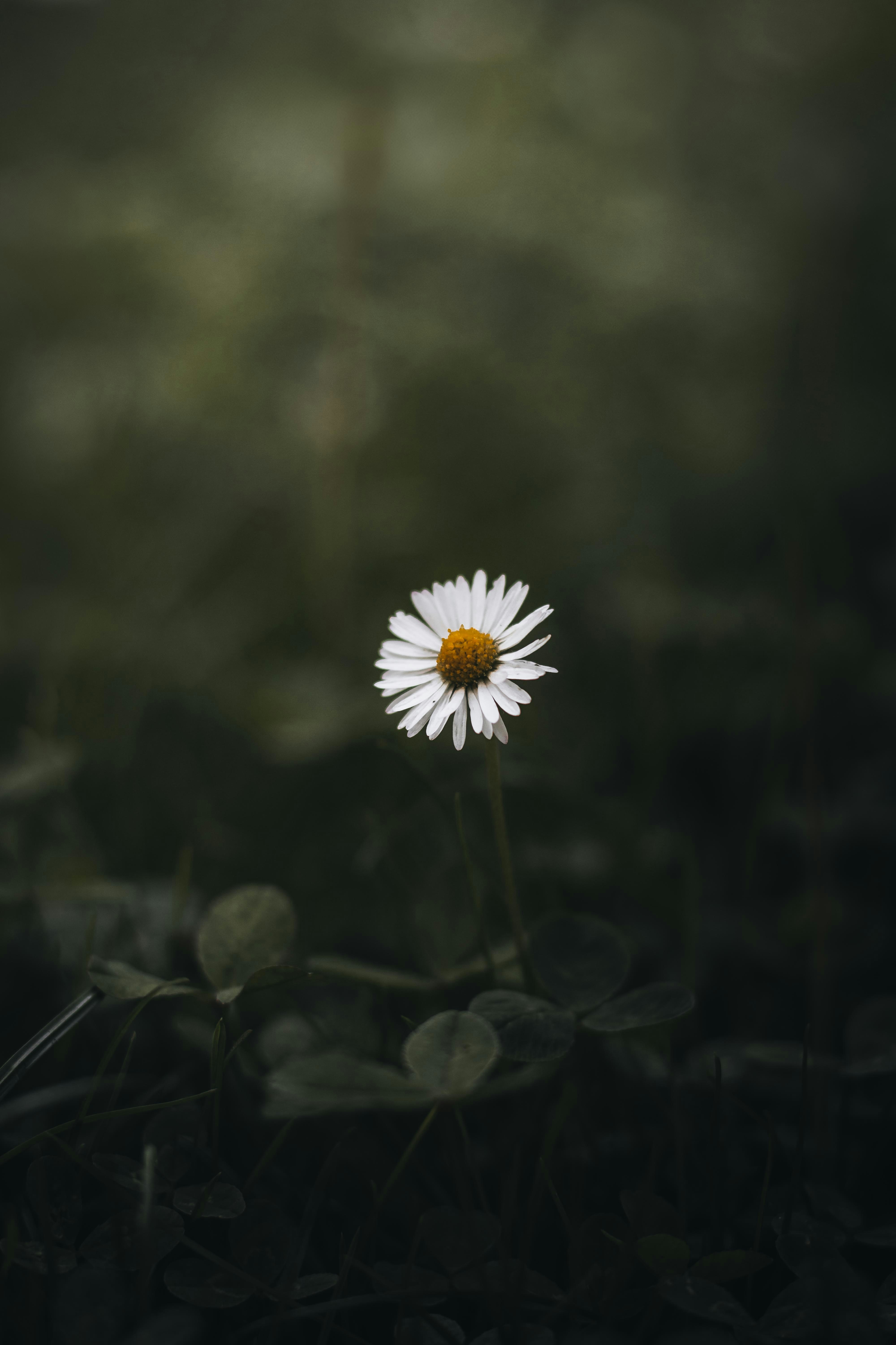 Photo by arlindphotography