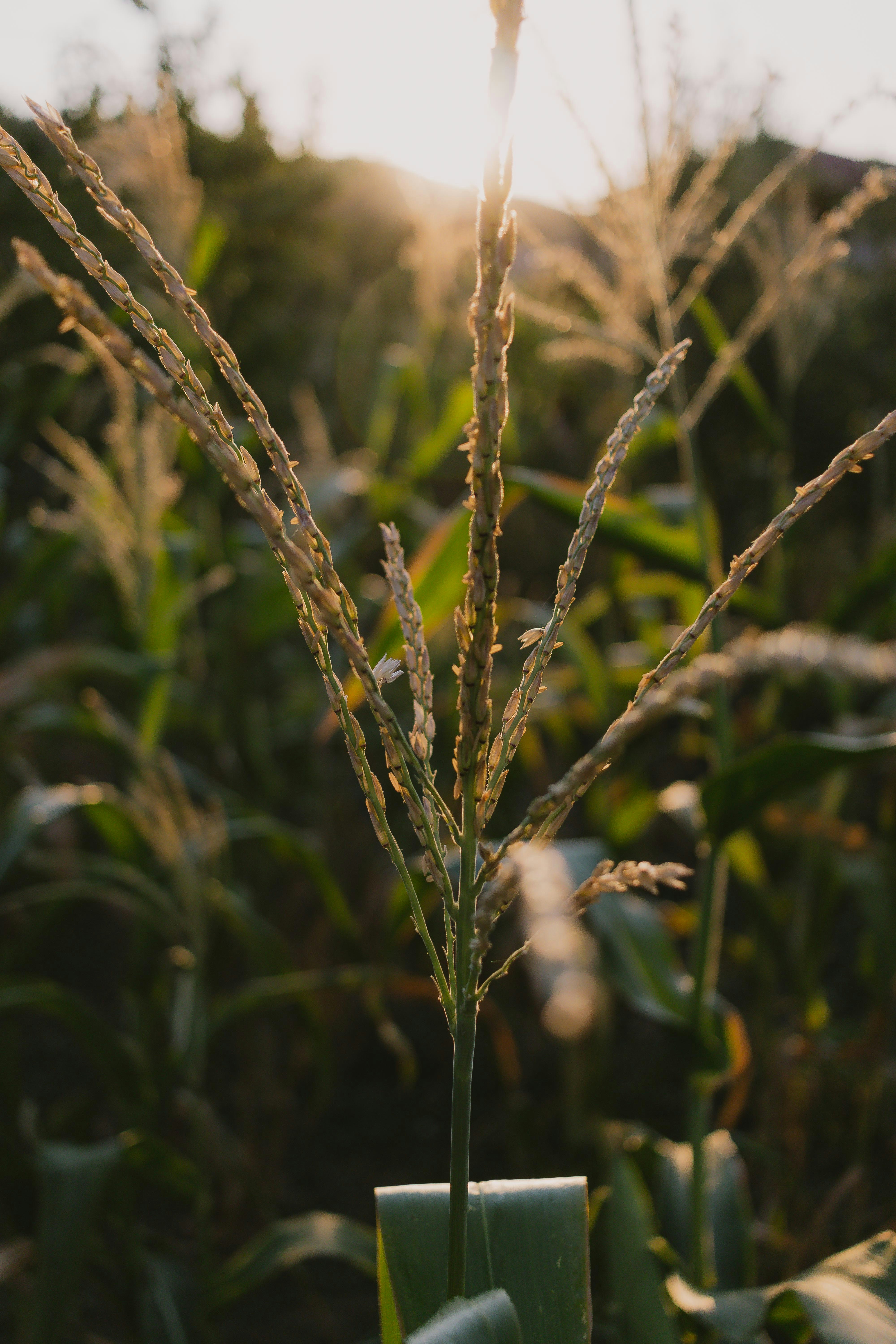 Photo by arlindphotography