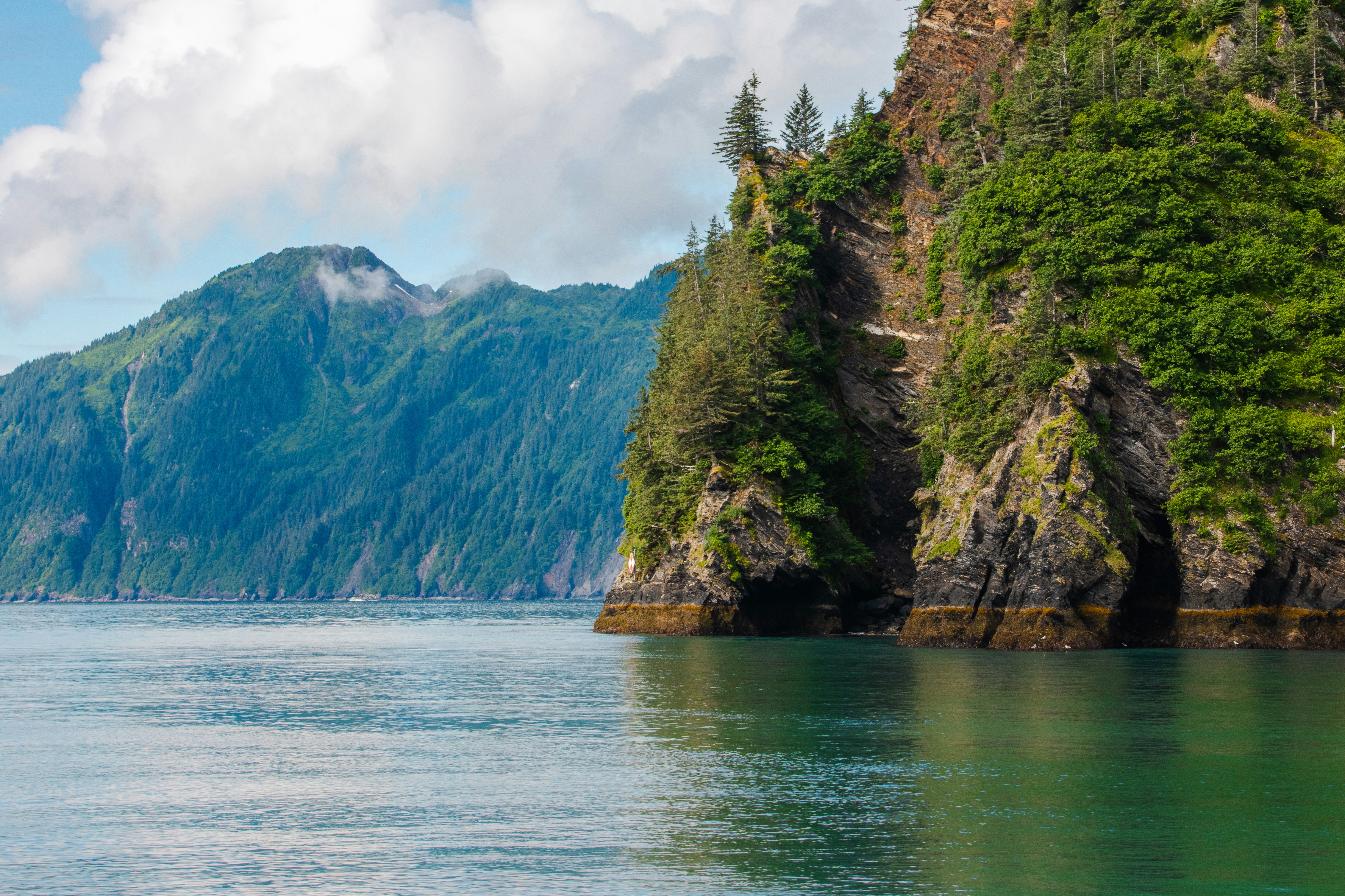 Photo by ericzhu3105