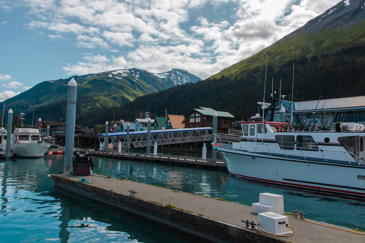 A dock and tour boats in the Seward harbor, with a green mountain rising behind