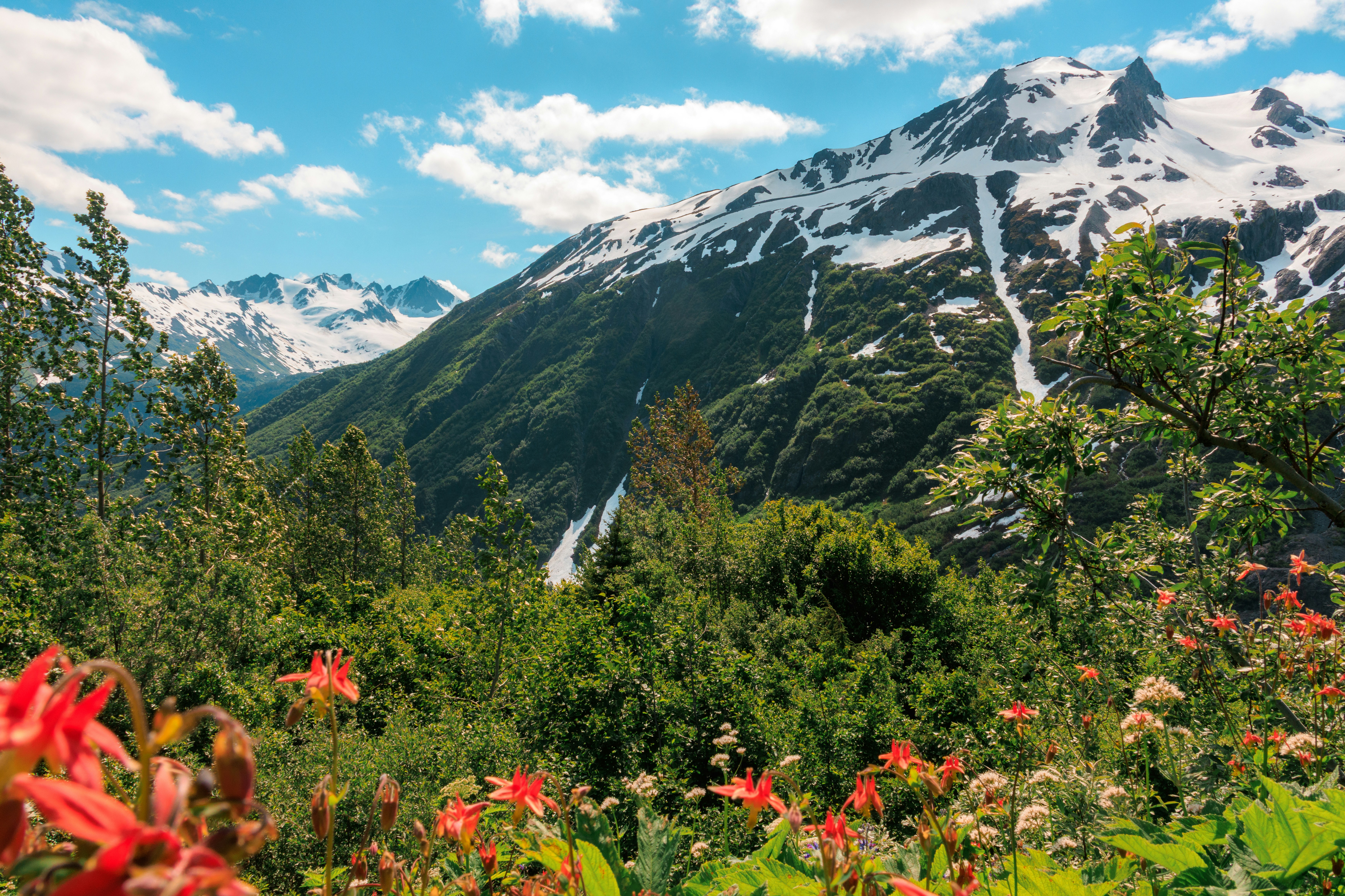 Seward photo