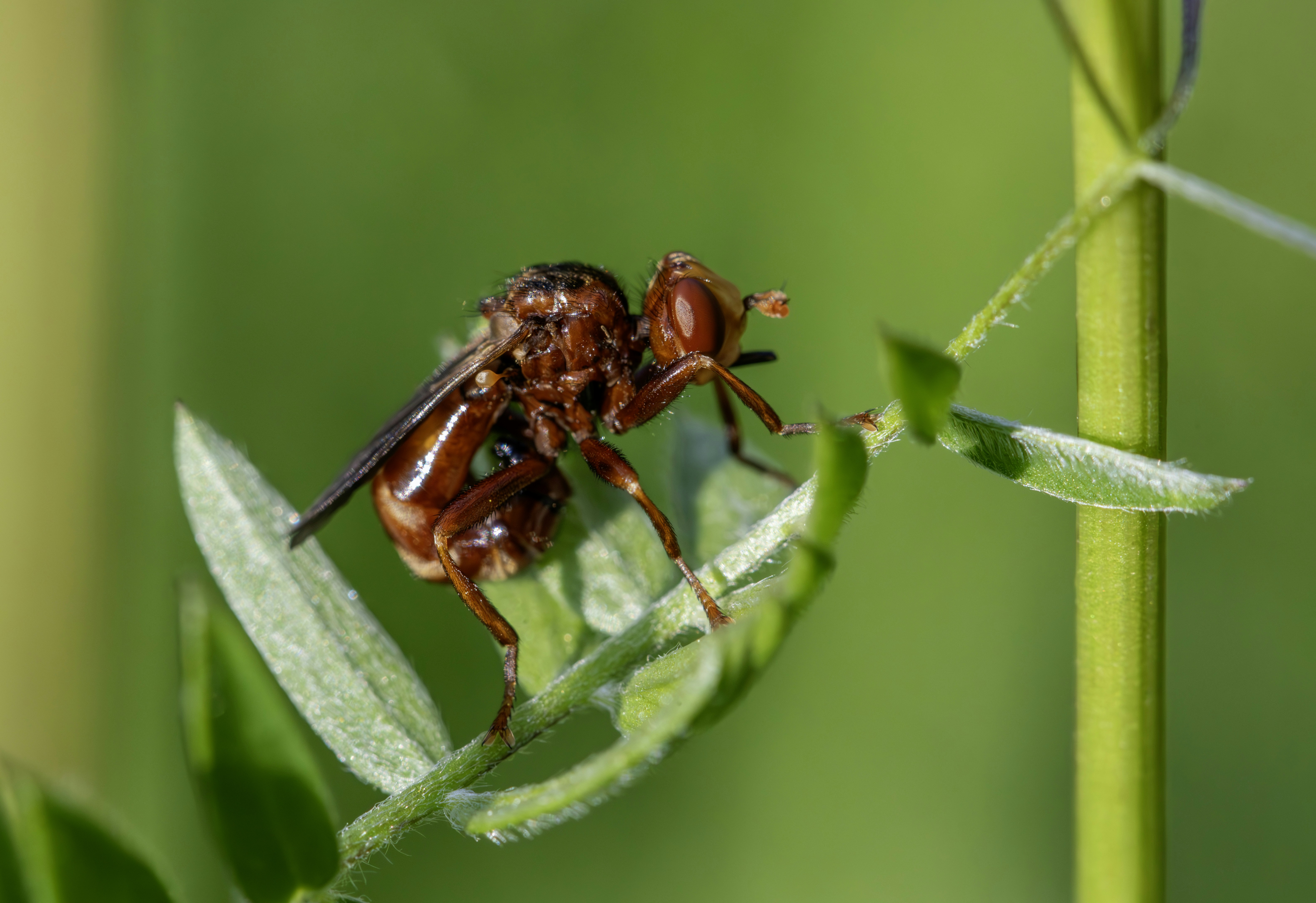 Photo by erik_karits